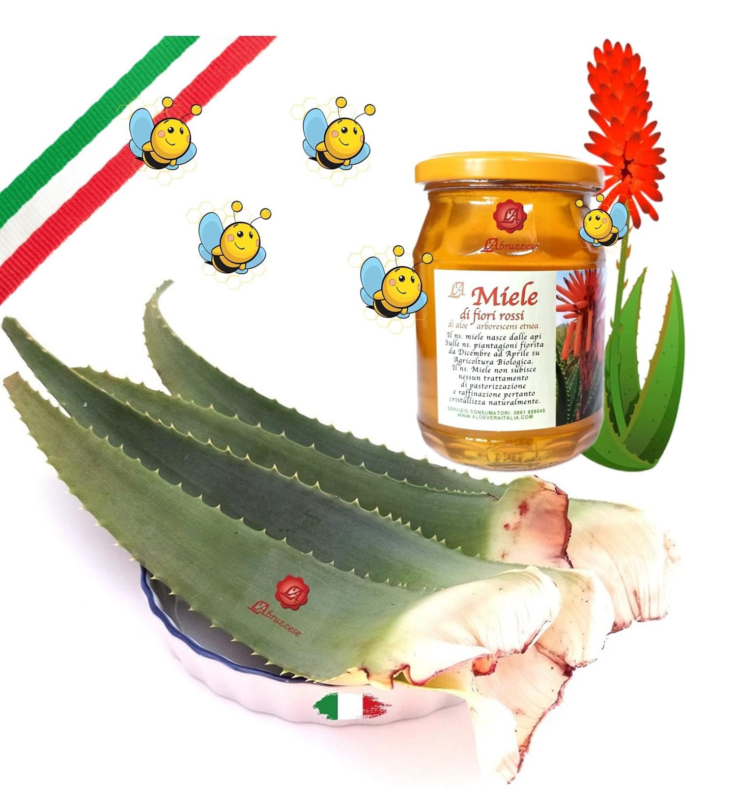 Fresh Aloe Arborescens ETNEA Leaves 1 kg whole with 500 g jar of honey for recipe preparation Padre Zago Organic product production Sicily Sicily Italy - Buy Online on GoSupps.com