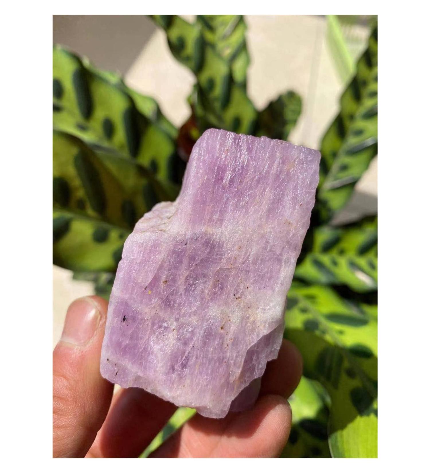 Natural raw kuzite Stone Natural Crystal 1030g Raw Stones and Minerals - Buy Online on GoSupps.com