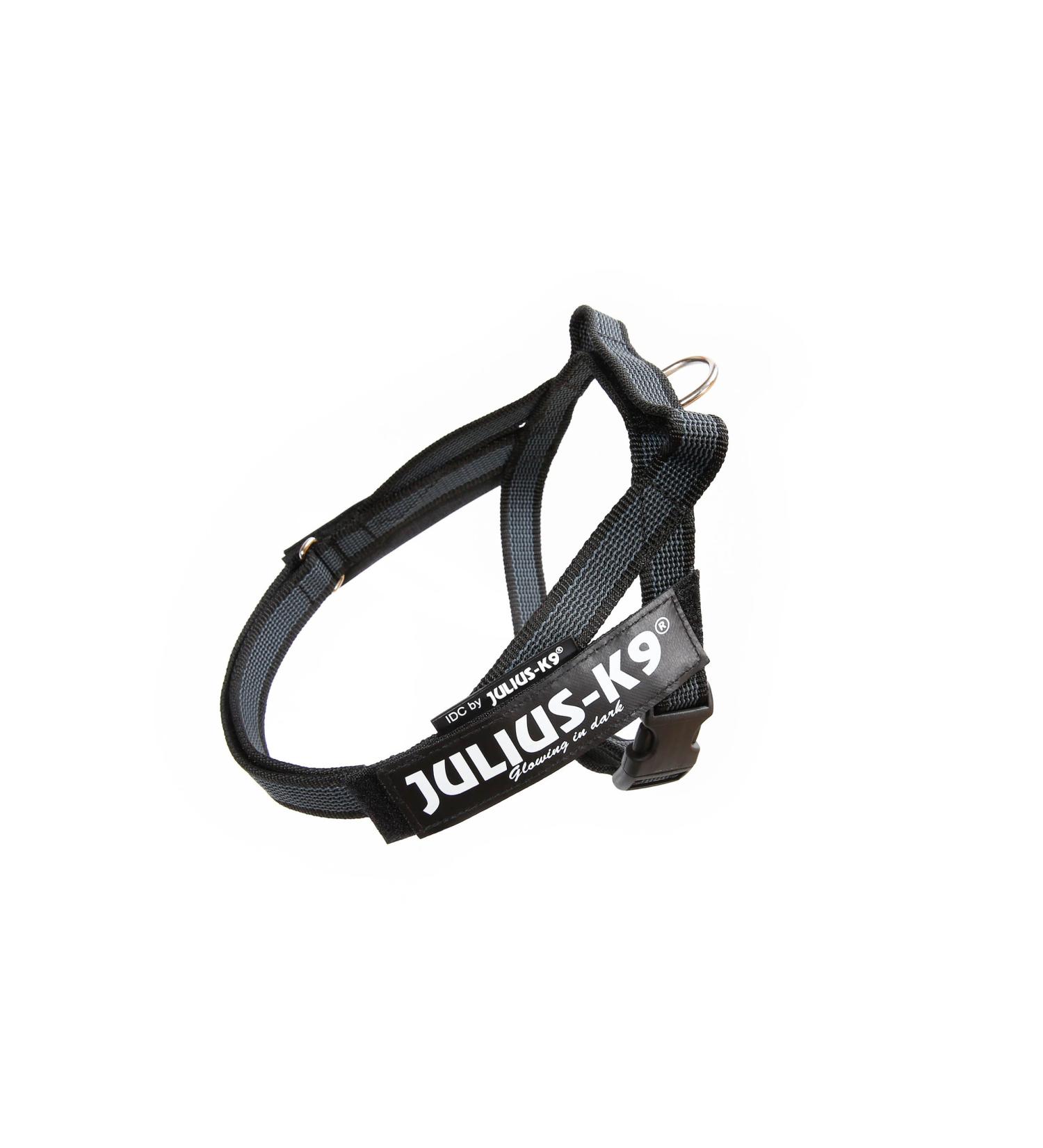 Julius-K9 Belt Harness XS/Mini-Mini in Black-Gray - Perfect for Small Dogs | International Shipping Available - Buy Online on GoSupps.com