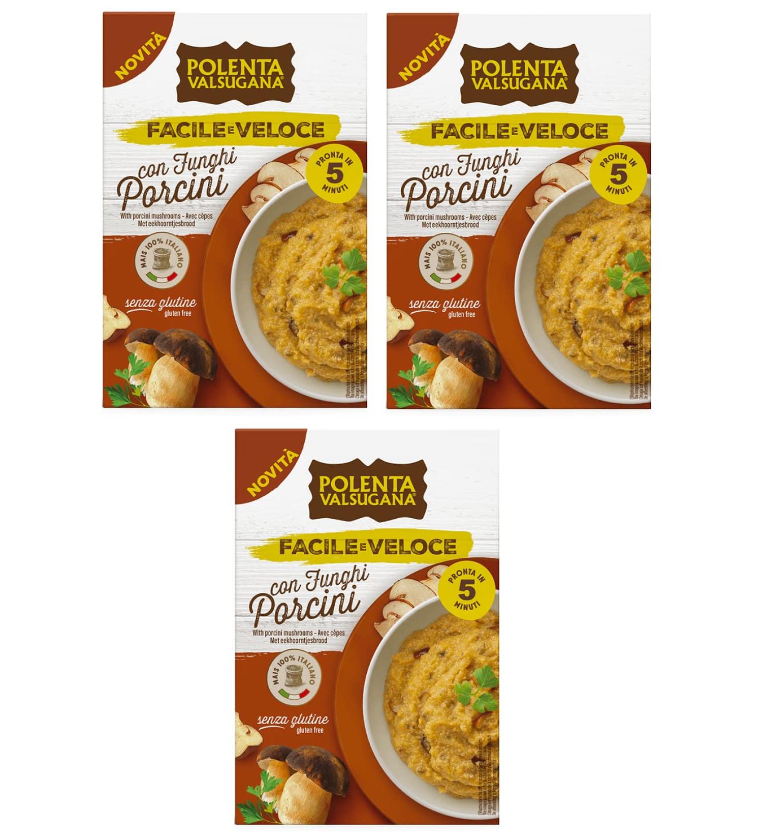 Italian Gourmet ER 3x Polenta Valsugana Facile e Veloce con Funghi Porcini prepared for Polenta with squirrel mushrooms glutenfree ready in 5 minutes 80 g