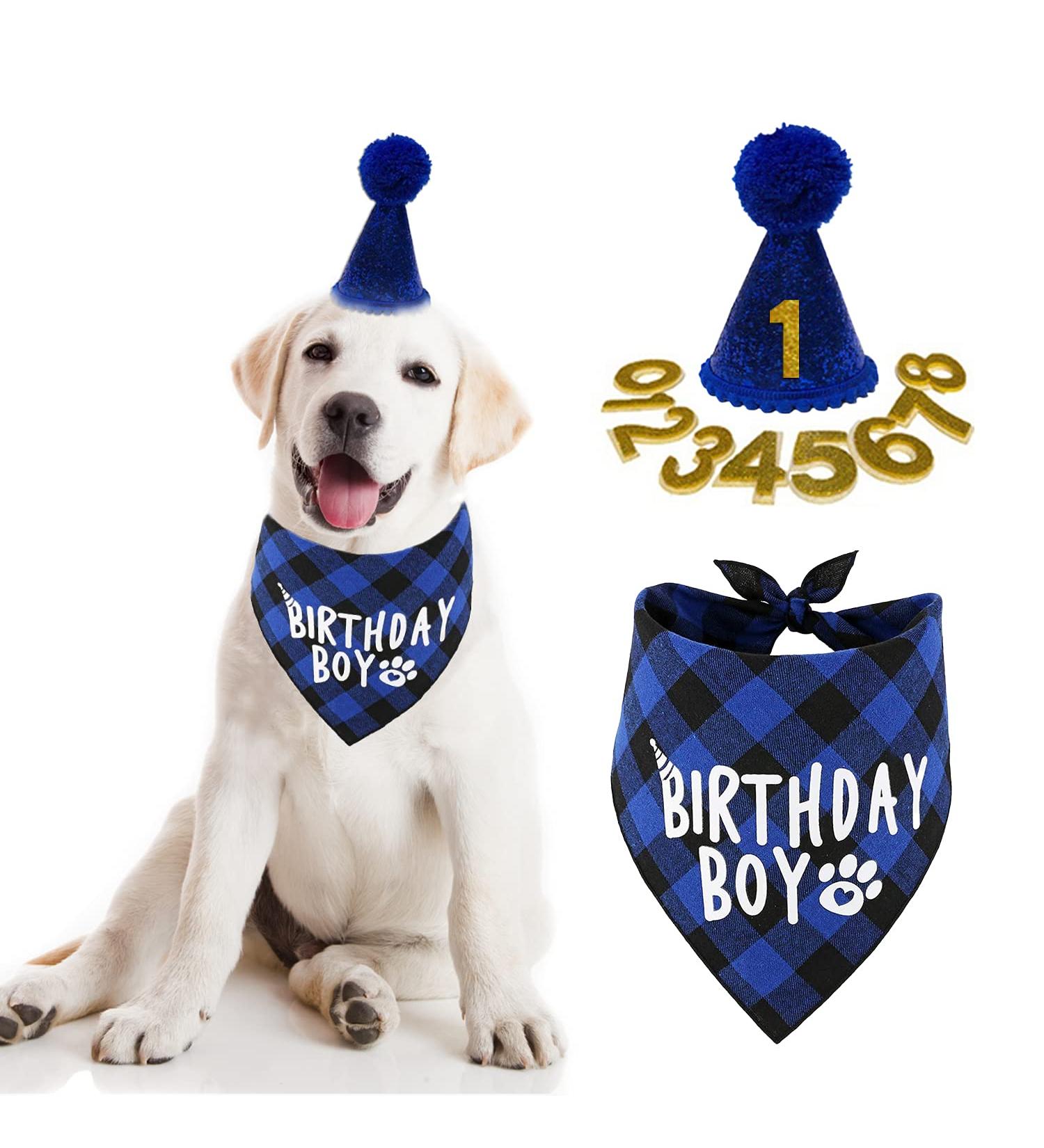 Boy Dog Birthday Party Supplies - Bandana Scarf and Hat with Number - Buy Online on GoSupps.com