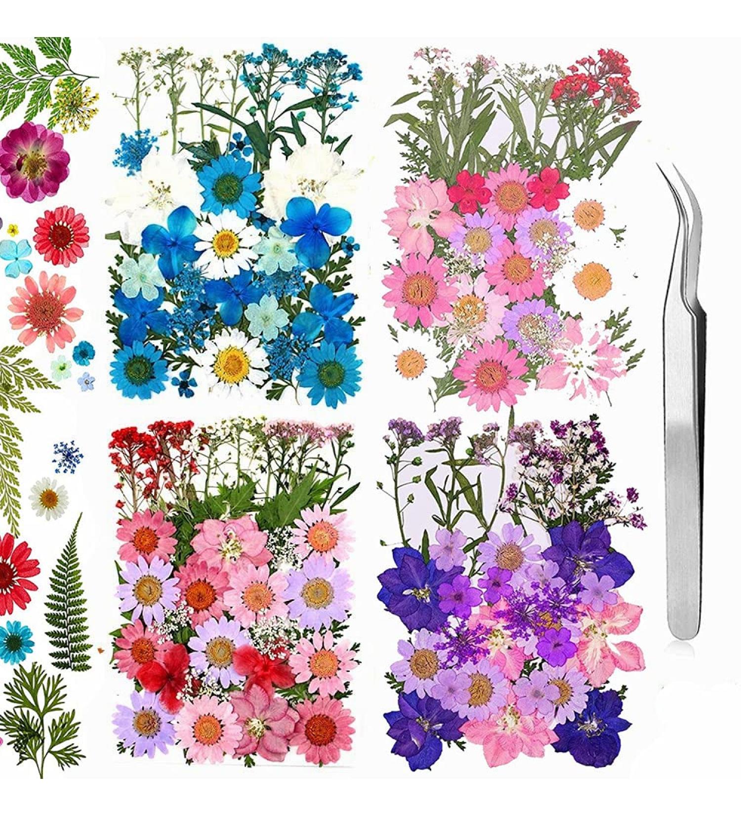 160pcs Dried Pressed Flowers for Resin Crafts - Bulk Natural Herbs Kit for DIY Art Projects - Epoxy Resin, Candle, Soap Making - Set A - Buy Online on GoSupps.com