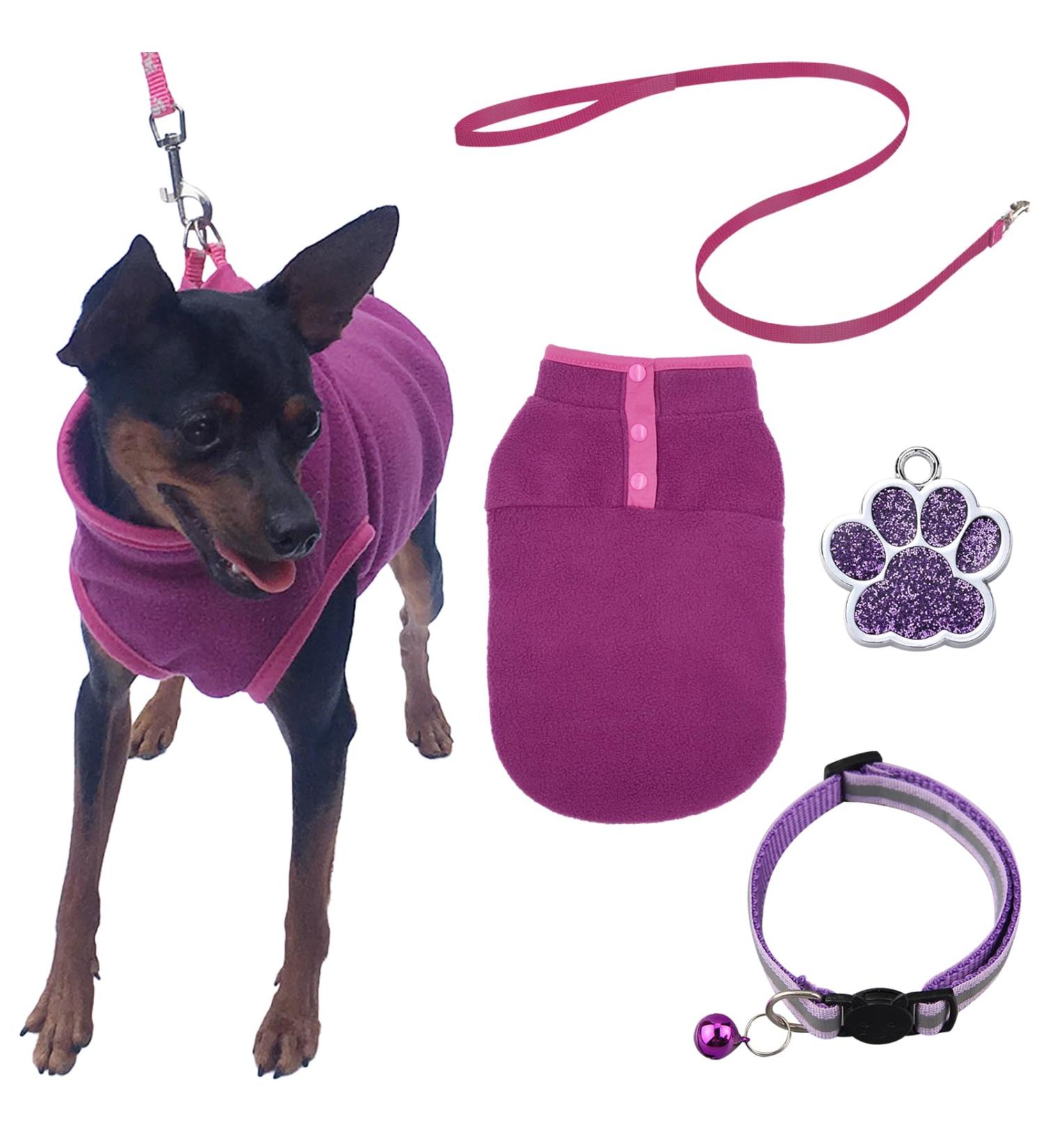 DKDDSSS Small Dog Sweater Dog Harness Collars Harnesses & Leads for Dogs Warm Puppy Cat Clothes Chihuahua Clothes for Small Breed Dogs Yorkie Chihuahua (S Purple) - Buy Online on GoSupps.com