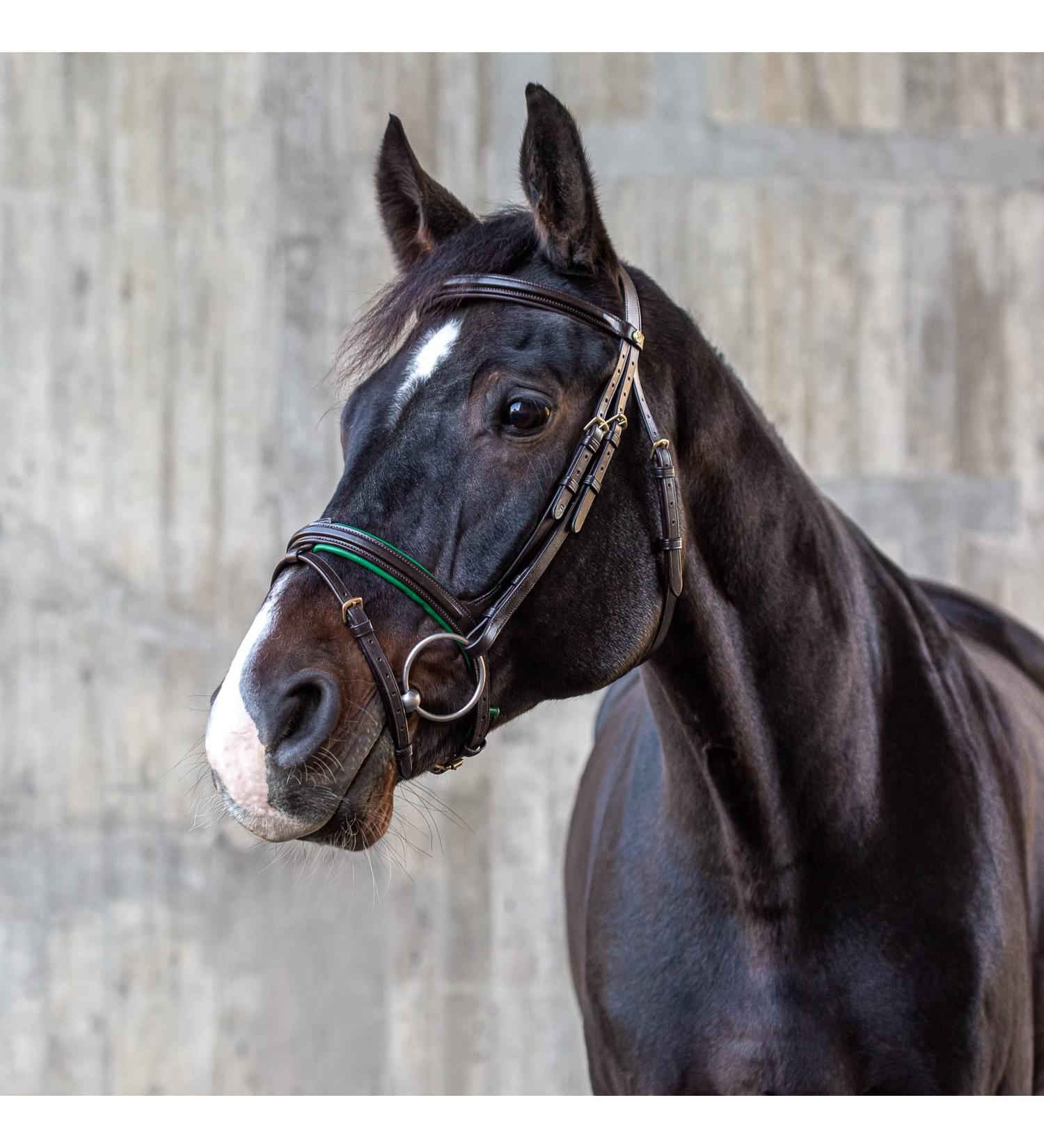 Buy Sunride English Combined Bridle Hawaii with Reins - Soft Real Leather Adjustable Anatomical Design (Full Brown/Green) - International Shipping Available - Buy Online on GoSupps.com
