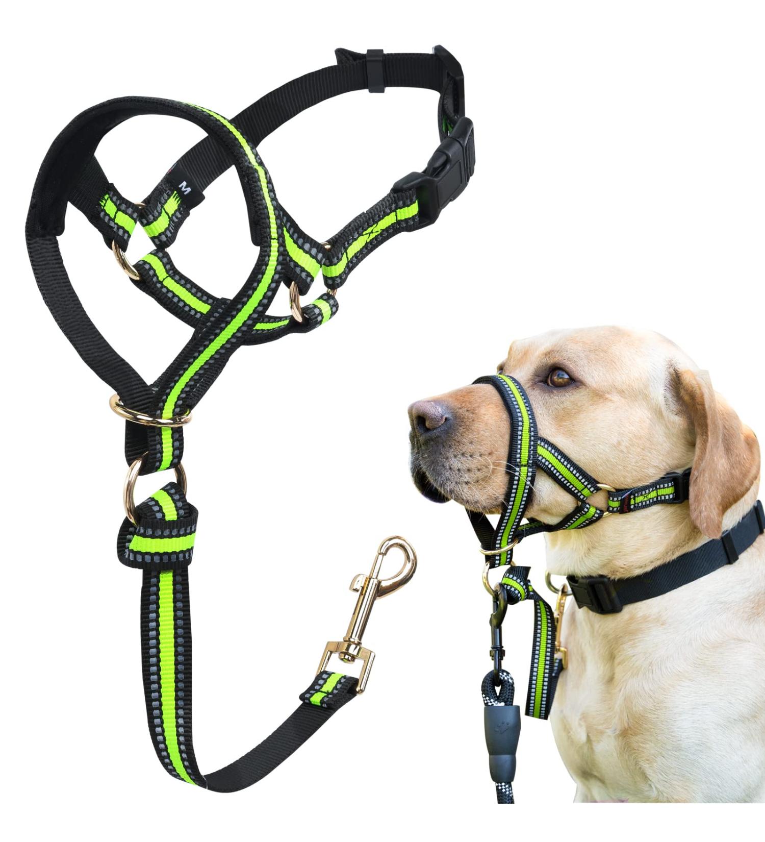 Shop Stylish Dog Head Collar for Strong Pullers | No Pulling Gentle Fit for Medium to Large Dogs | Green | International Shipping - Buy Online on GoSupps.com