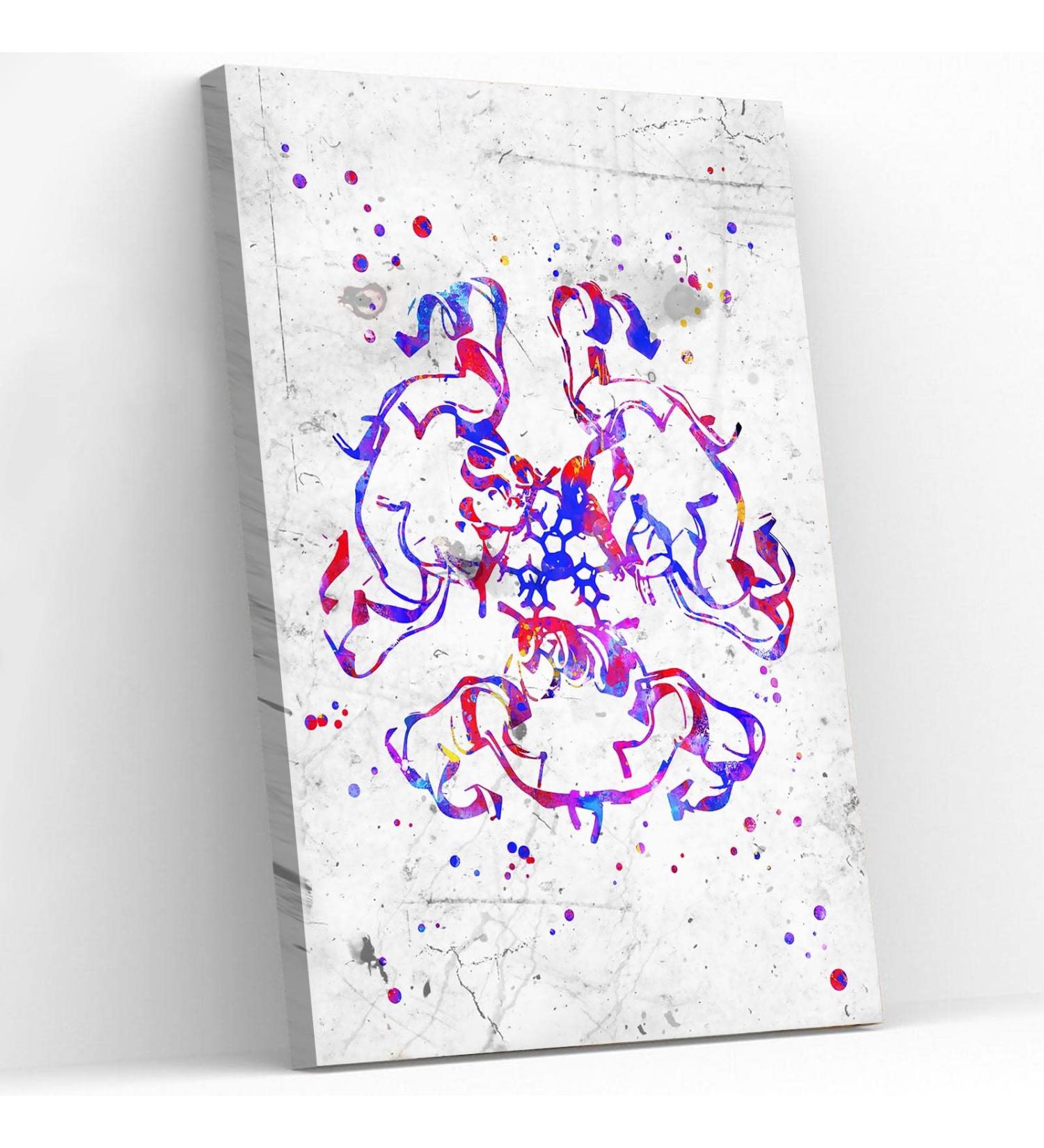 Insulin Structure Watercolor Print - Endocrinology Wall Art for Living Room Decor - Diabetes Hormone Art - 8x12 Framed Canvas Print - Buy Online on GoSupps.com