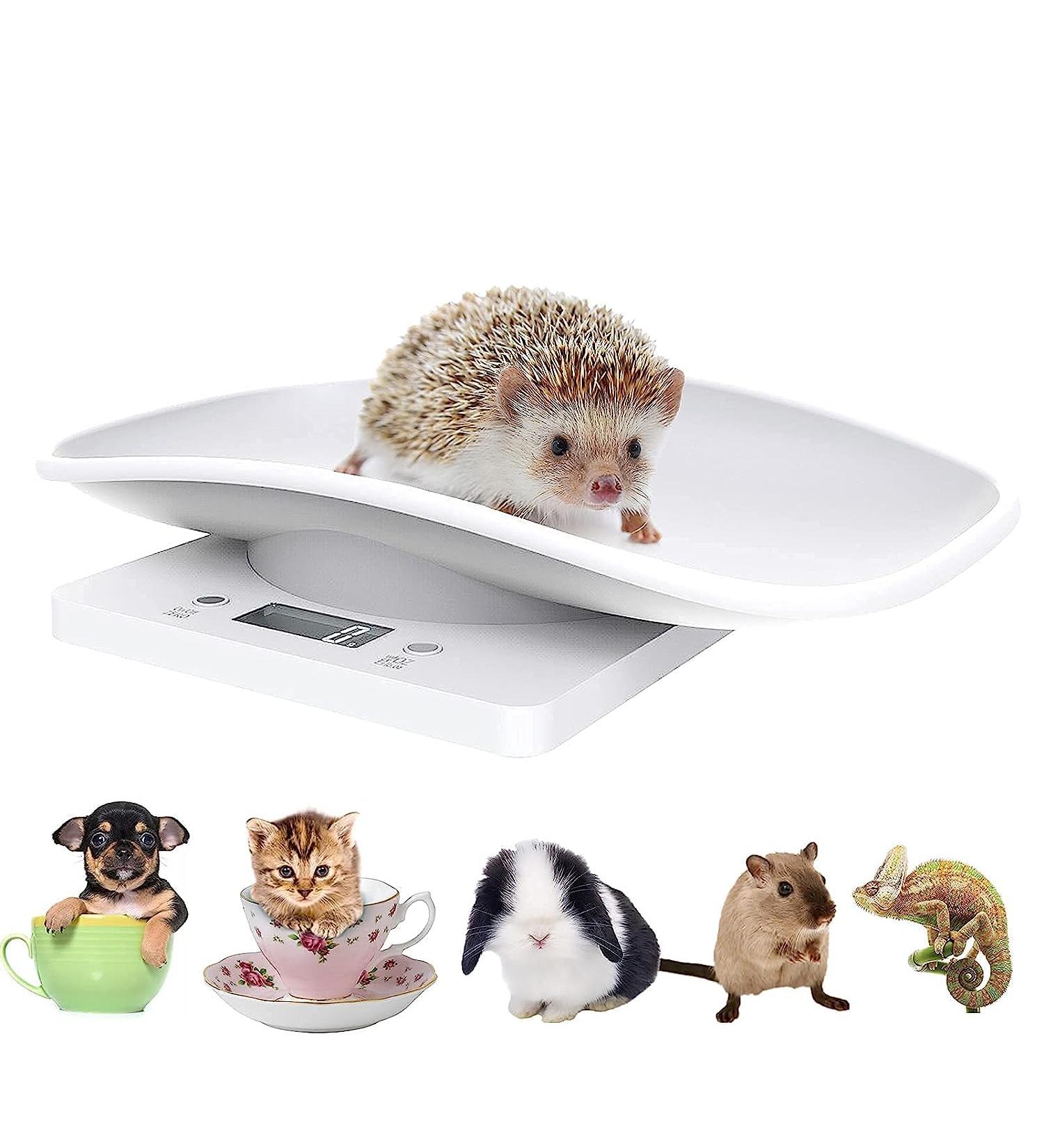 Digital Pet Scale Small Animal Scale with LCD Display Digital Food Scale Multifunction Small Puppy Kitten Scale Max Weighing 10kg/22lb for Kitten/Puppy/Hamster/Hedgehog/Tortoise/Food - Buy Online on GoSupps.com