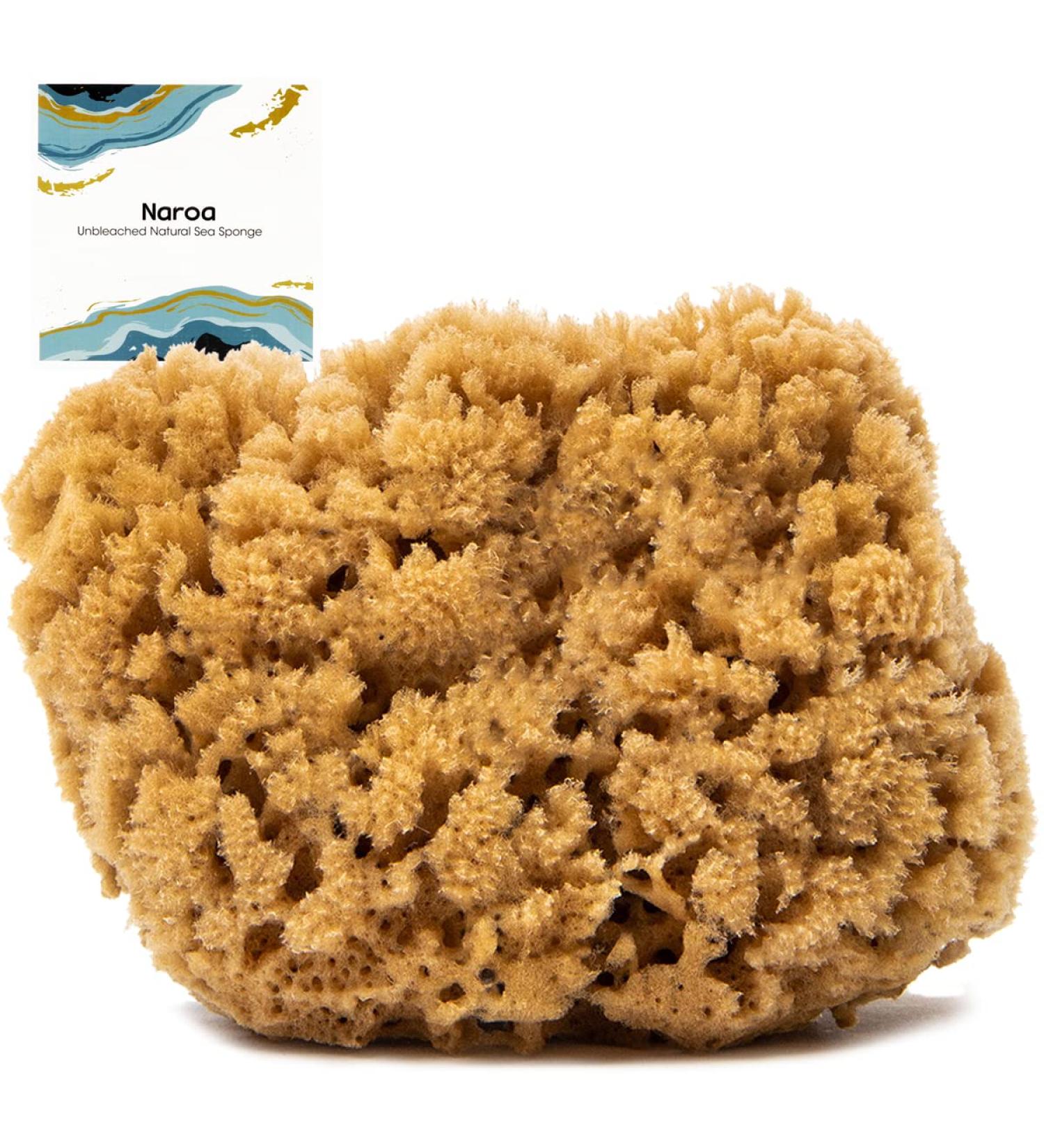 Naroa Natural Sea Sponge for Bathing | Firm Exfoliating Body Scrubber | Eco-Friendly & Renewable | Medium Size | Men & Women - Buy Online on GoSupps.com