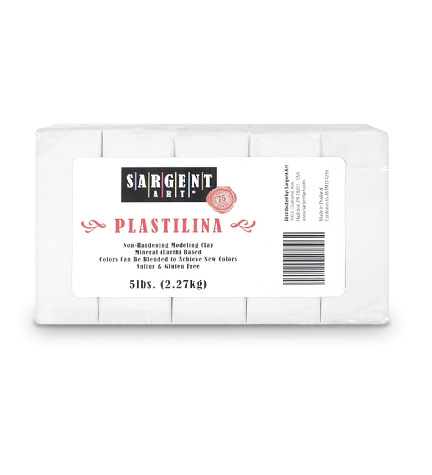 Sargent Art Plastilina Modeling Clay  White  5 Pound  Non-Hardening  Long Lasting & Non-Toxic  Great for Kids  Beginners  and Artists