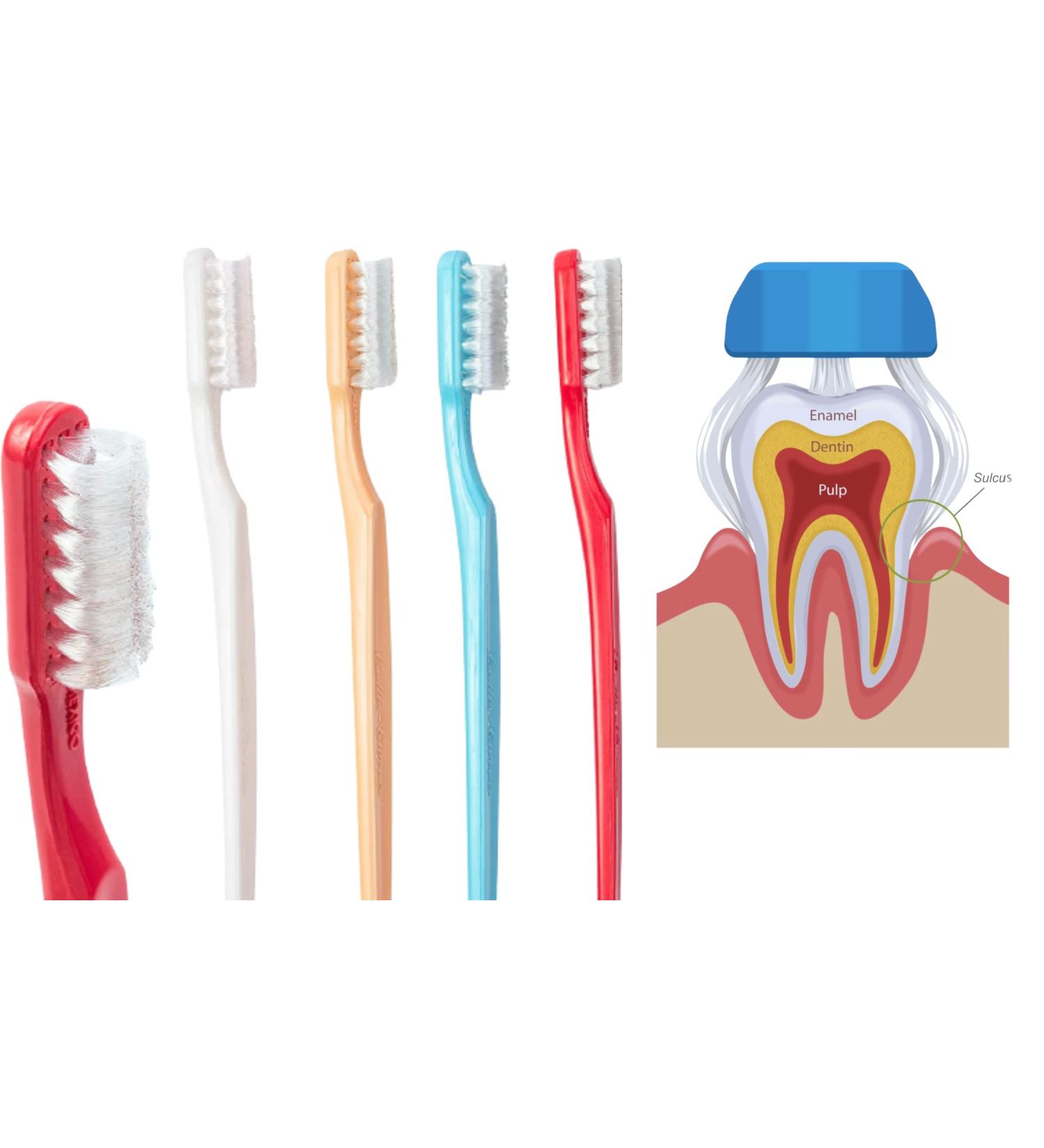 Collis Curve Soft Toothbrush - Three-Sided Design for Superior Oral Care | Shop Internationally - Buy Online on GoSupps.com