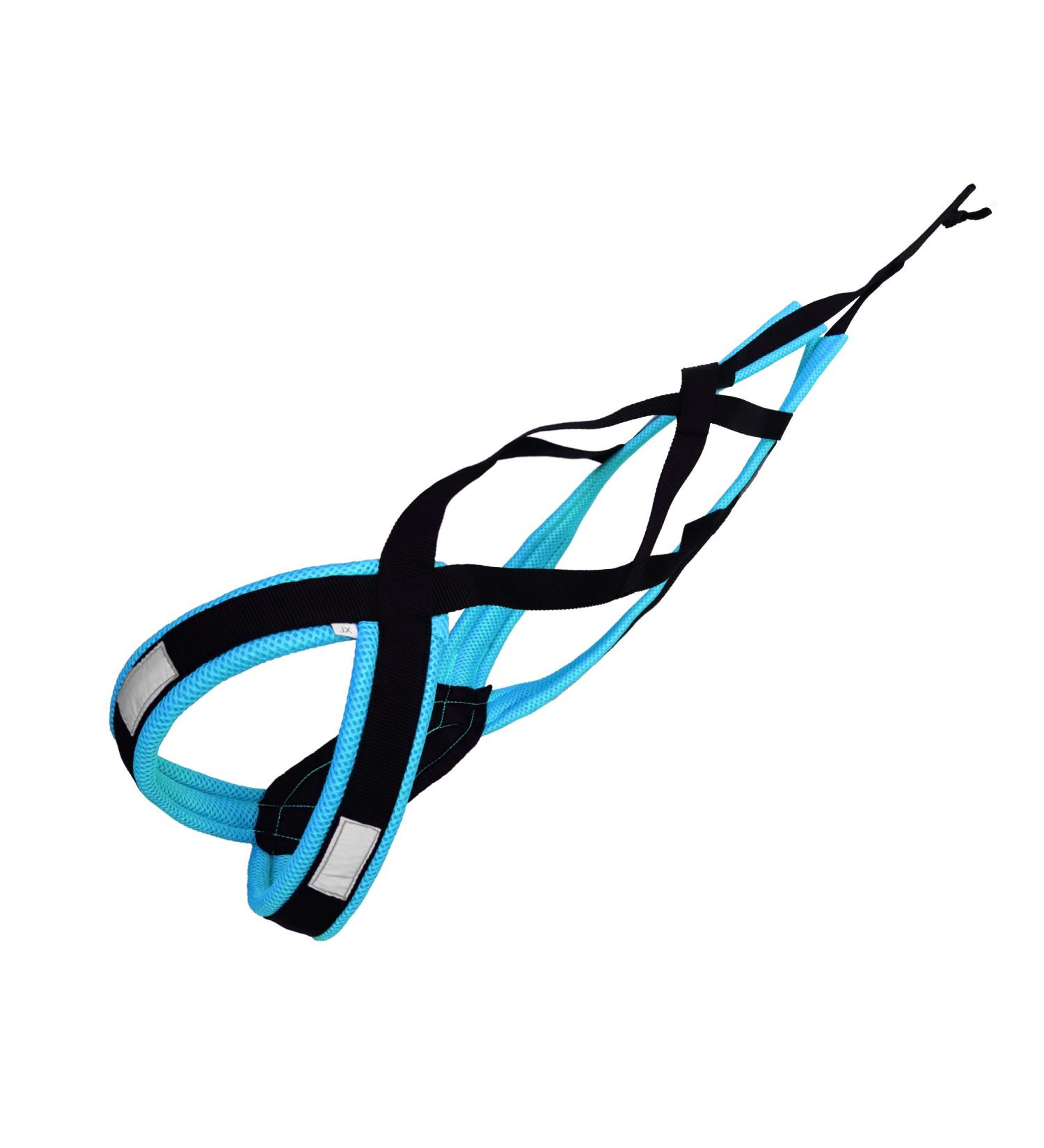LASALINE Dog Harness X Back | Perfect for Canicross Dogscooter Bikejoring & Sledding - Black & Light Blue - Buy Online on GoSupps.com