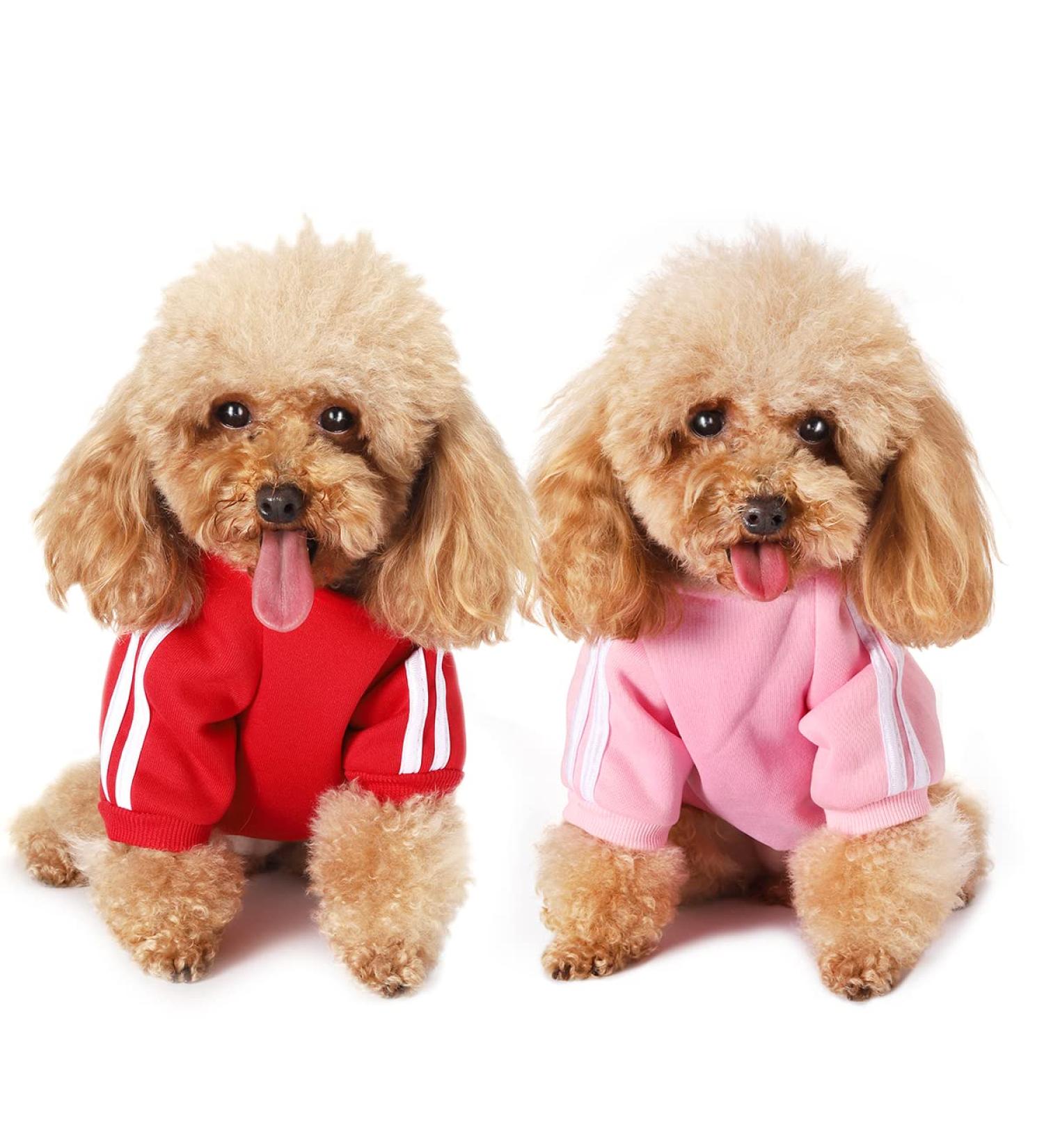 Cozy Dog Clothes for Small Dogs | Chihuahua Hoodies & Sweaters in Pink & Red - Buy Online on GoSupps.com