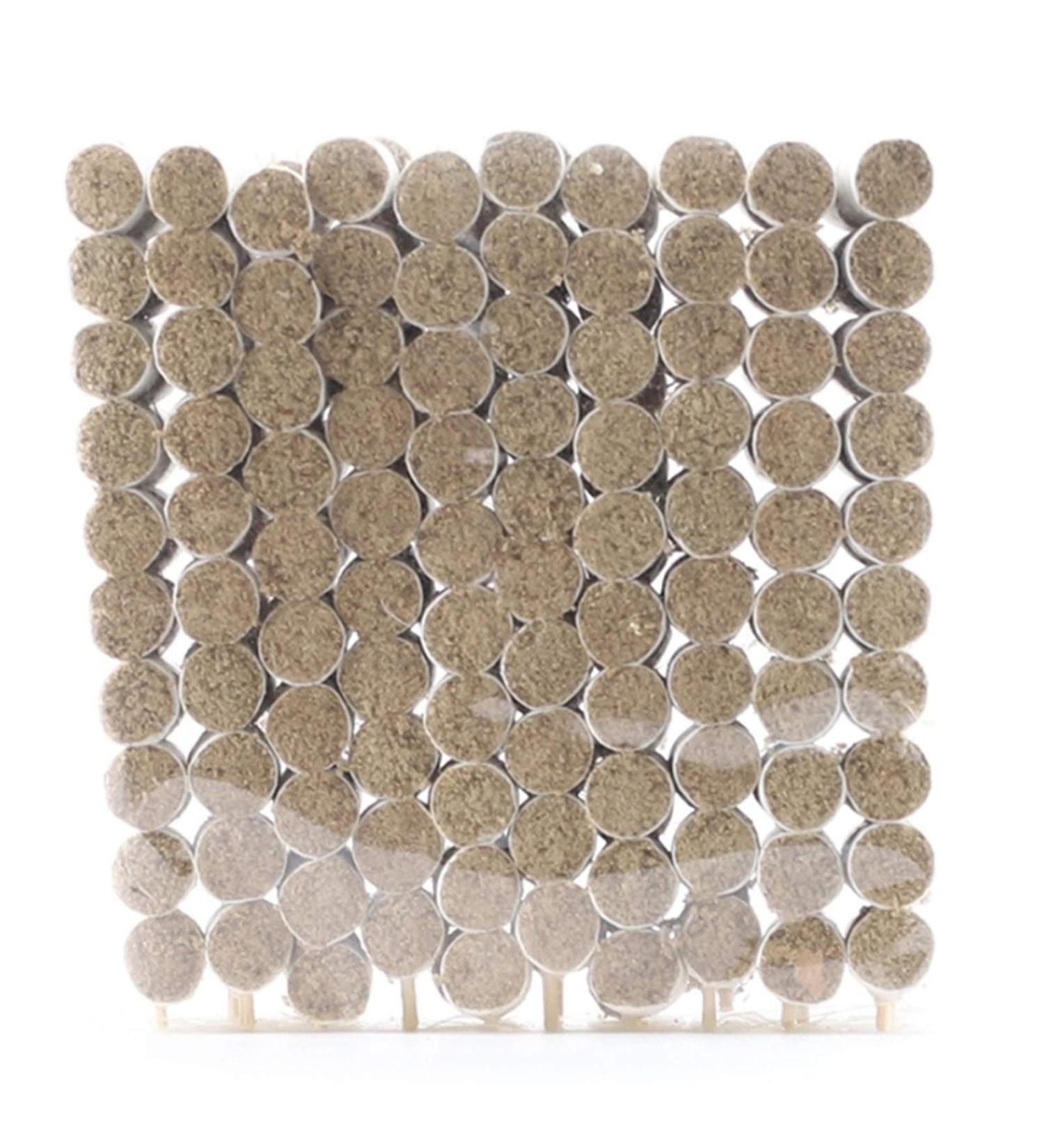 DUNSBY Moxa Rolls (200 Pieces) - Premium Traditional Moxibustion Warm Needles & High-Quality Moxa Sticks for Effective Moxibustion Therapy - Buy Online on GoSupps.com