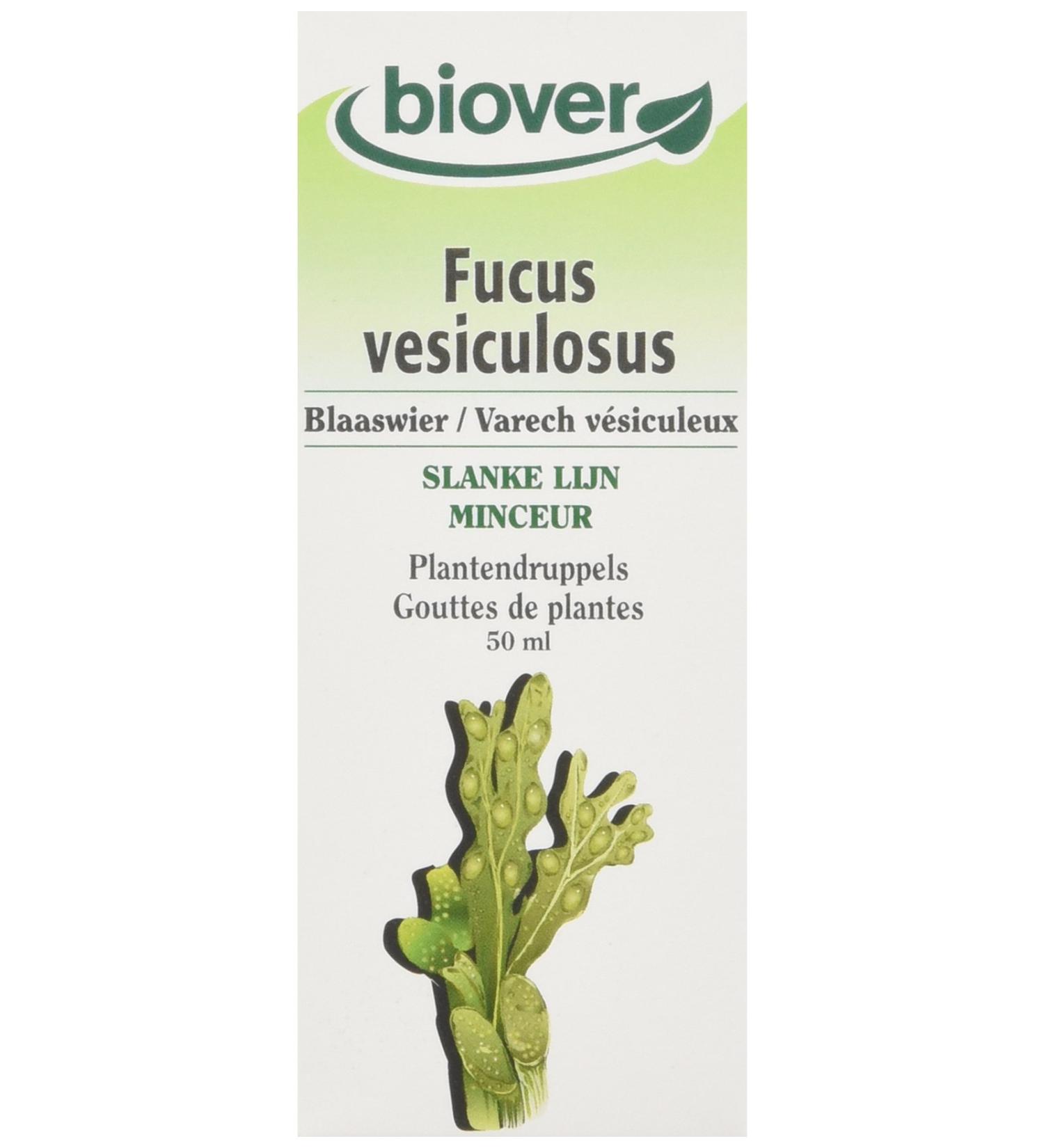 Biover Fucus Vesiculosus Organic Kelp - Buy Online on GoSupps.com