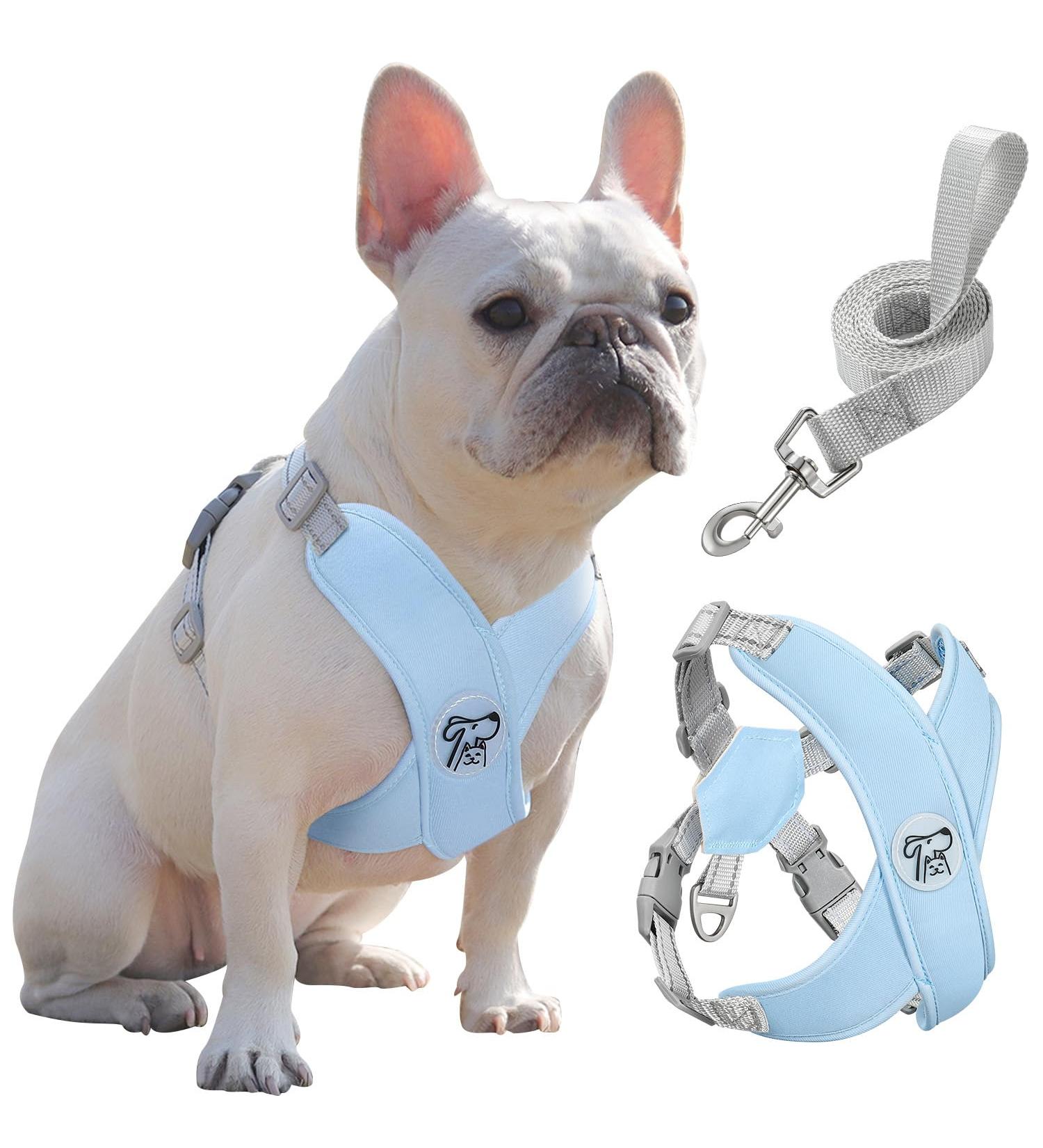 Pawaboo Dog Harness & Leash Set - Adjustable Anti Pull Chest Harness for Small & Medium Dogs - Breathable Vest (L Blue) - Buy Online on GoSupps.com