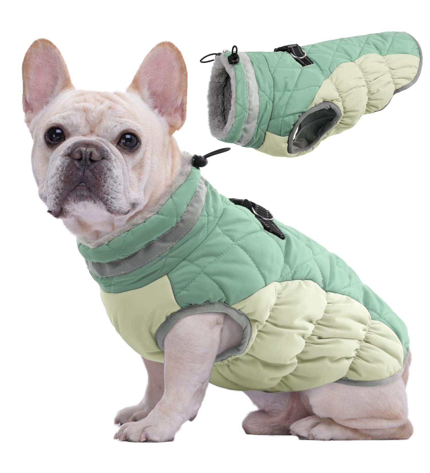 Kuoser Warmth Dog Coat - Windproof & Reflective Jacket for Small & Large Dogs - Winter Essential with Zipper - Green - Buy Online on GoSupps.com