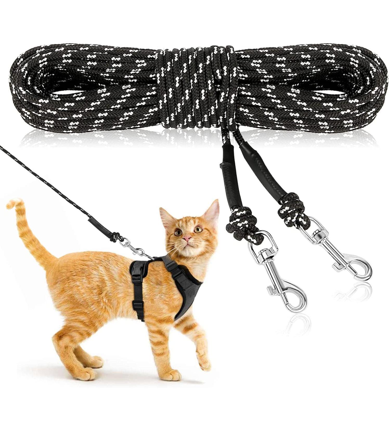Ranypet 15m/50ft Reflecting Long Line for Cats - Safe Durable Leash for Kittens Puppies & Small Animals - Disappearing Design in Black - Buy Online on GoSupps.com