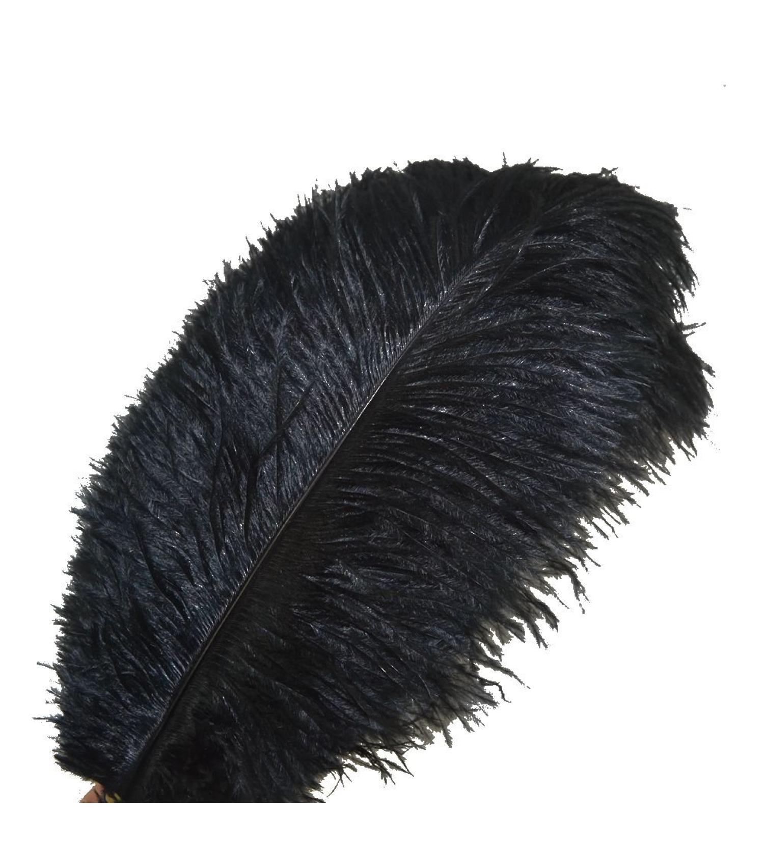 Sowder 10pcs Black Ostrich Feathers 12-14inch for Home Wedding Decoration - Buy Online on GoSupps.com