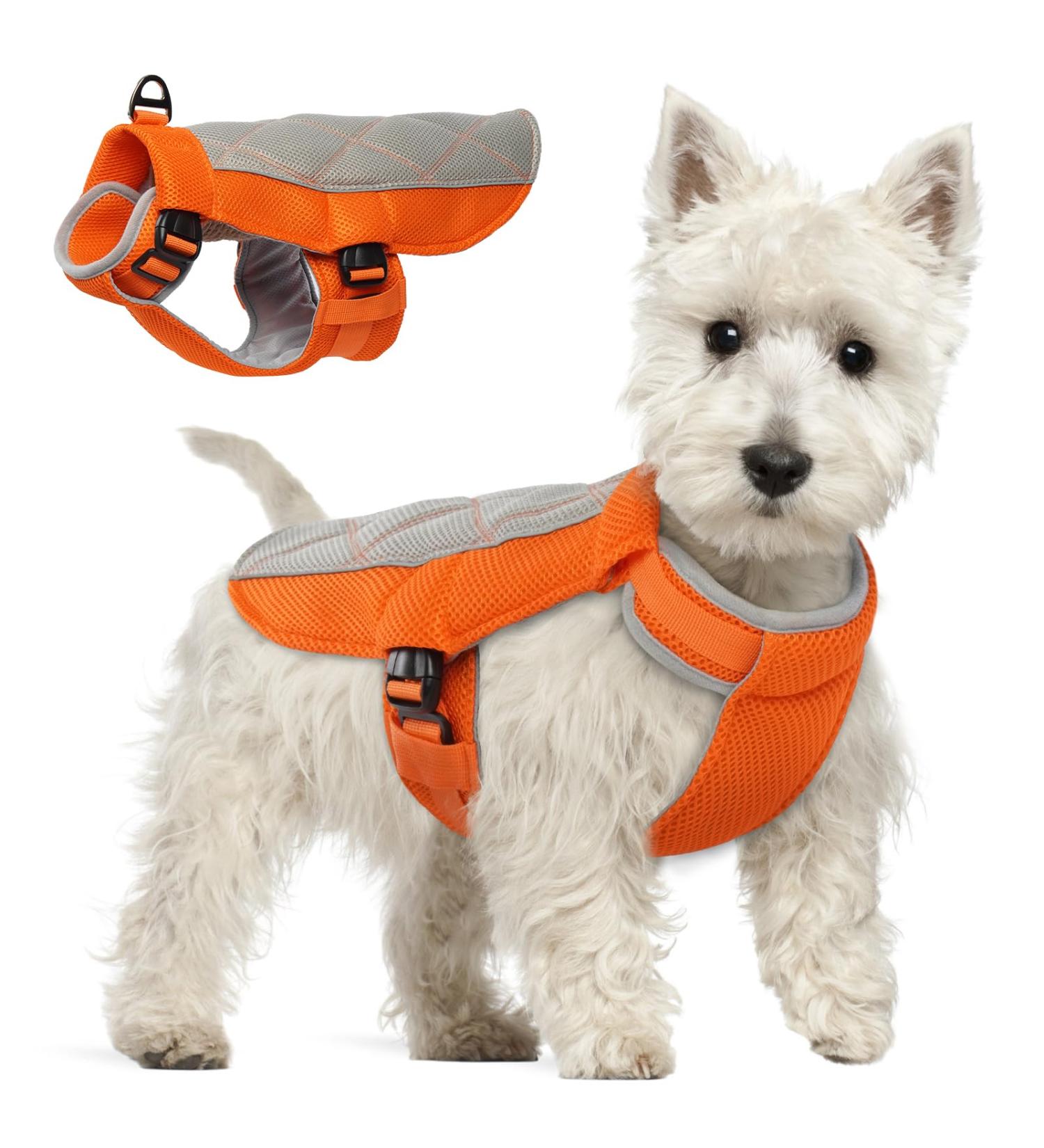 Buy Hjumarayan Cooling Vest for Dogs | Breathable Dog Cooling Coat with D-Rings - Perfect for Hot Summer Days | Orange - Buy Online on GoSupps.com