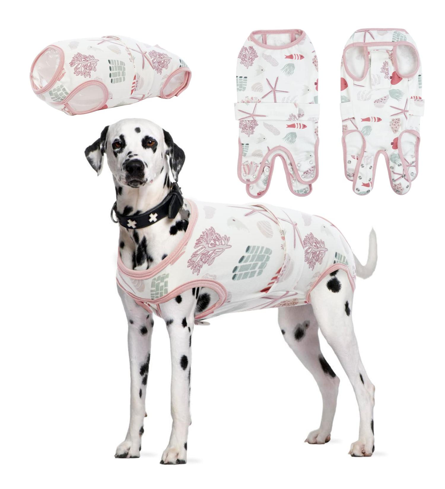 XXL Dog Surgical Recovery Suit | Soft & Breathable Onesie for Post-Op Dogs & Cats - Spay Castration Bodysuit - Buy Online on GoSupps.com