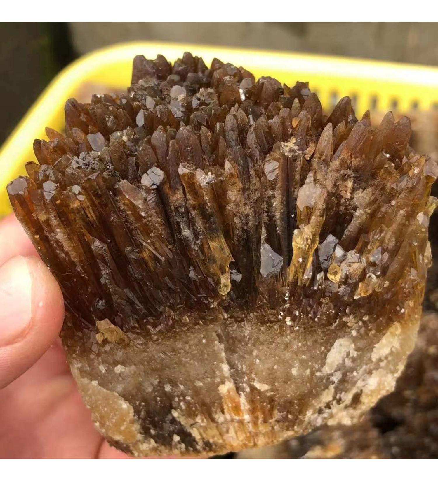 Crystal Natural Yellow Amber Calcite Rough Crystal Stone Collection Rough Rock Specimen Home Decor - Buy Online on GoSupps.com