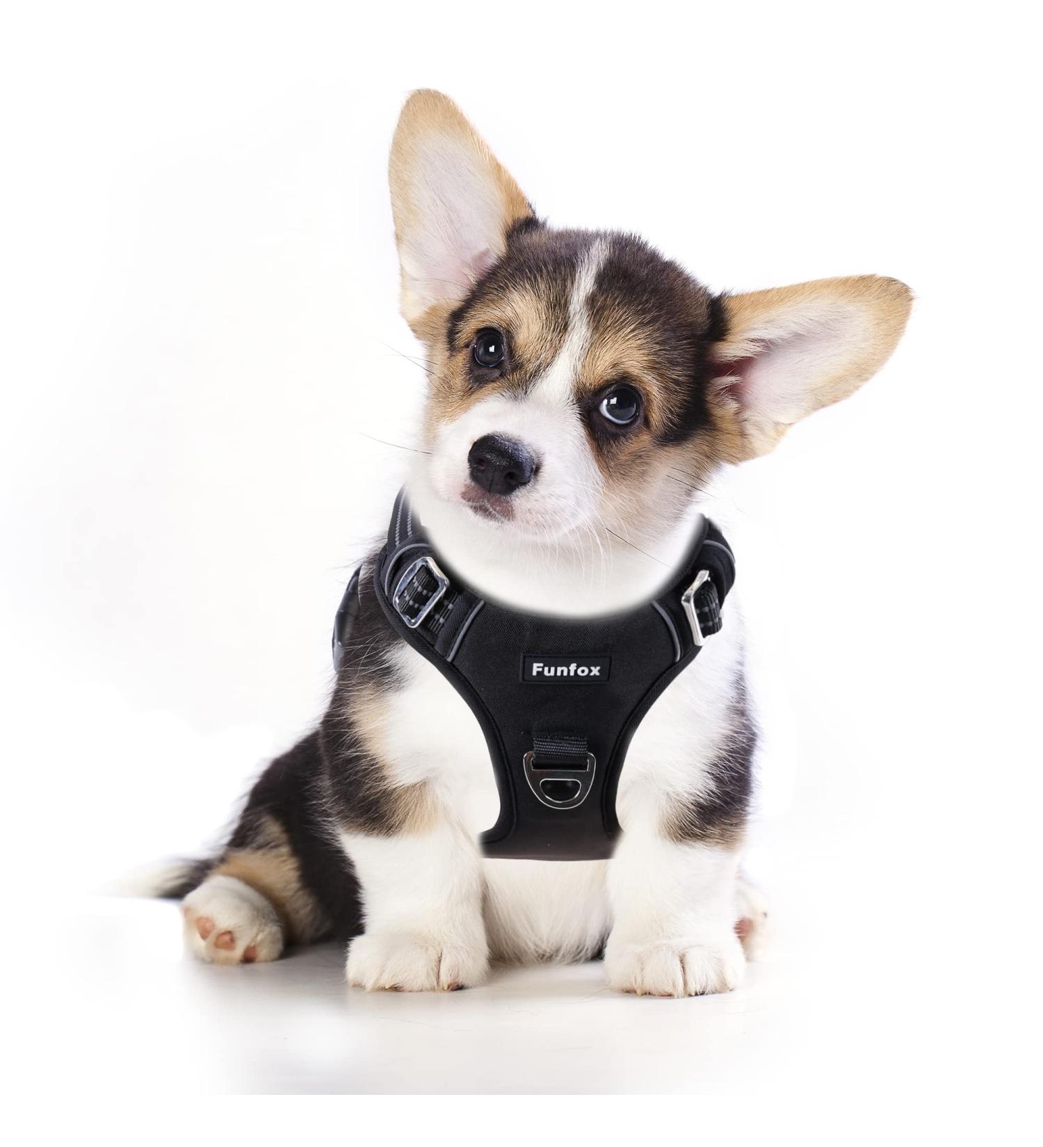 Funfox Adjustable No Pull Dog Harness for Small & Medium Dogs - Breathable Safety Harness | Anti-Zug Design | Perfect for Pups - Buy Online on GoSupps.com
