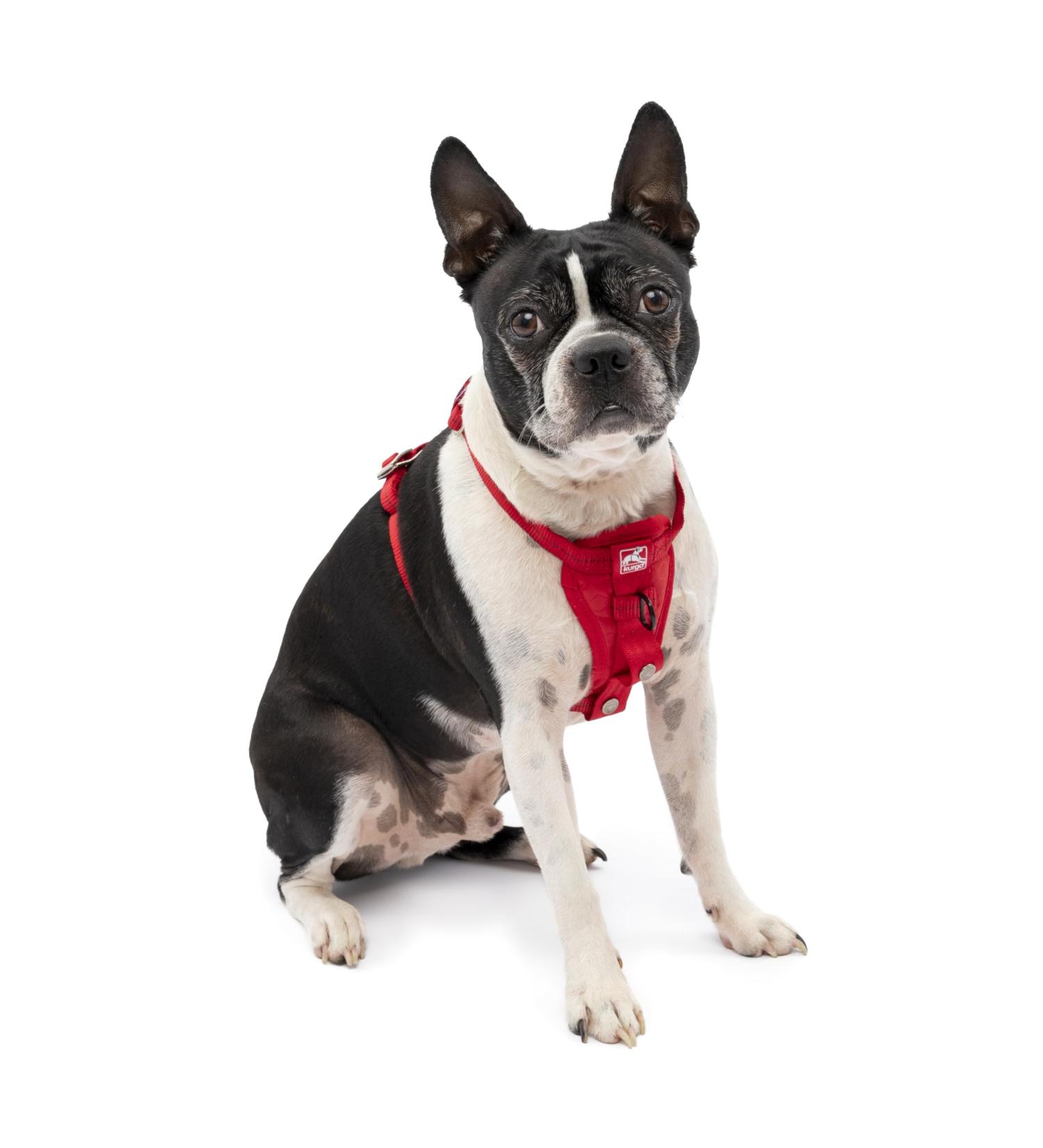 Kurgo Tru-Fit Dog Harness - Crash Tested Car Seat Belt for Small Dogs (2-5 kg) - XS Size - Red - Buy Online on GoSupps.com