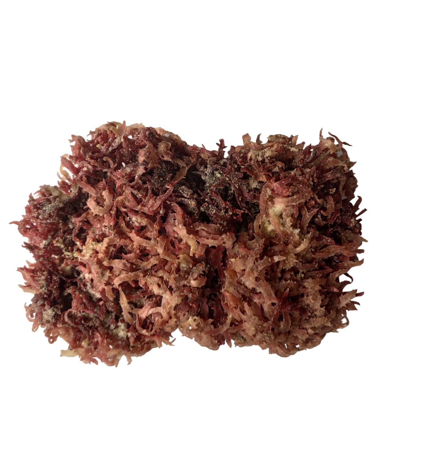 Red Sea Moss Dried Seaweed Salad Seaweed 200g - Buy Online on GoSupps.com