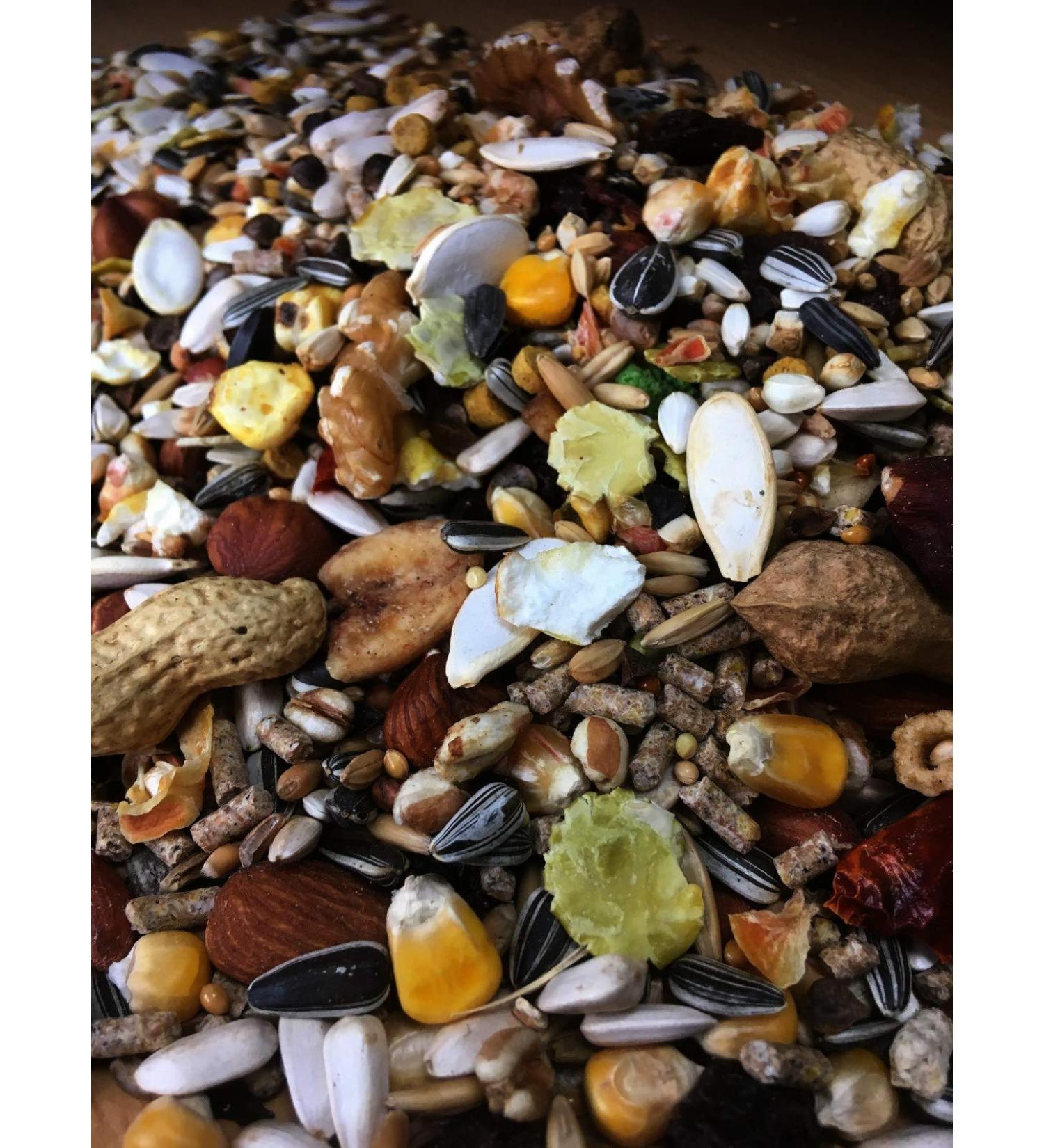 cura-canin 10 kg premium squirrel super food squirrel food of the highest class scatter feed feeder - Buy Online on GoSupps.com