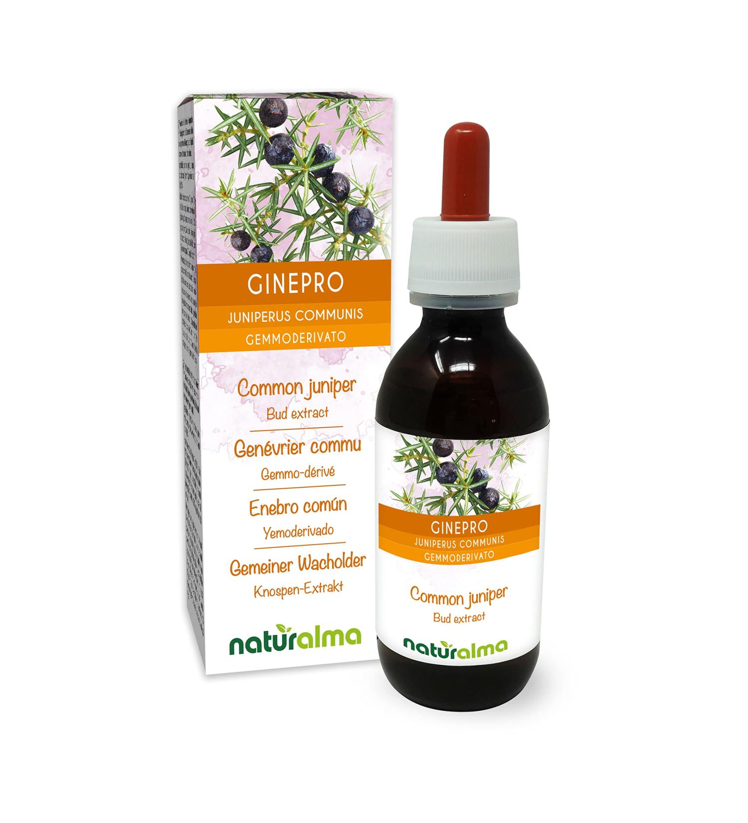 Common juniper (Juniperus communis) Gemmo-derived alcohol-free from fresh buds Naturalma - Liquid extract drops 120 ml - Dietary supplement - Vegan or vegan - Buy Online on GoSupps.com