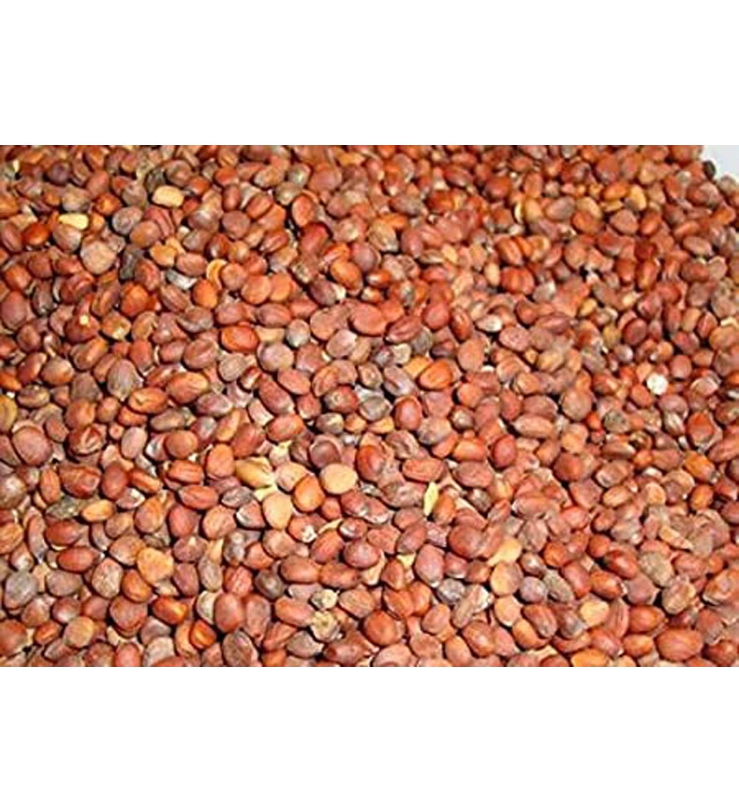 RAW HERBS/JADI BOOTI DRIED EDIBLE BEEJ MOOLI BEEJ MULI RADISH SEEDS RAPHANUS SATIVUS (500gm) - Buy Online on GoSupps.com
