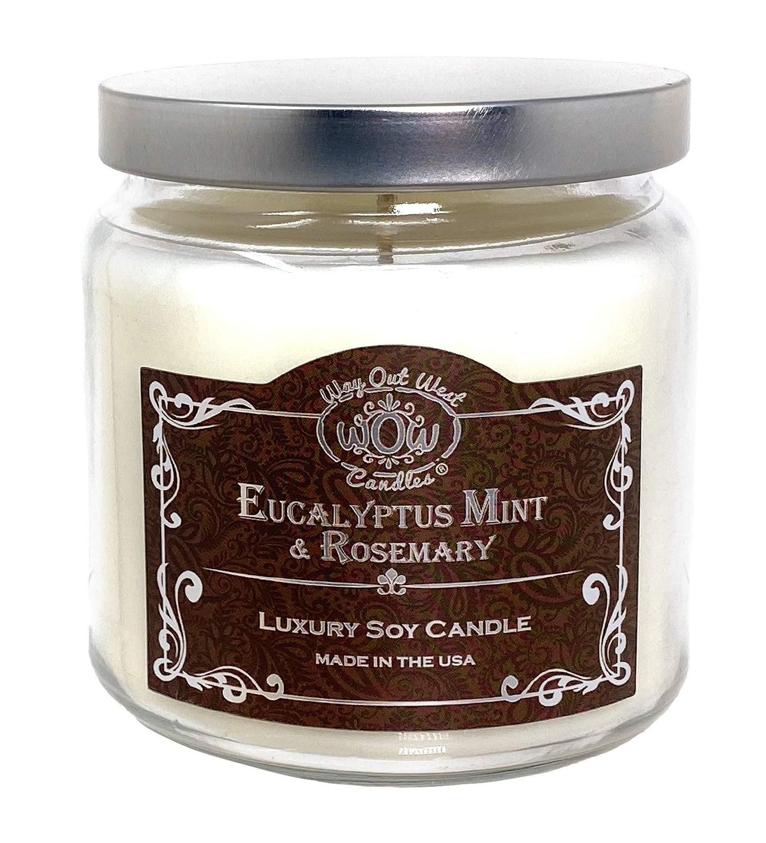 Aromatherapy Candles 18 oz - Long Lasting Eucalyptus Mint Scented Soy Candle | All Natural Handmade in the USA | 65+ Hours of Fragrance - Buy Online on GoSupps.com