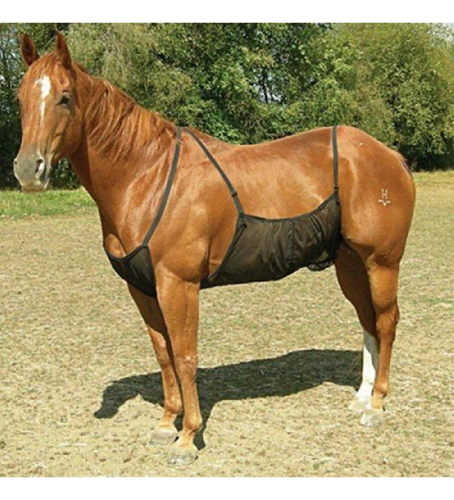 MOVKZACV Fly Net for Horses - Adjustable Belly Protector | Protects from Mosquito Bites (94x71 cm) - International Shipping Available - Buy Online on GoSupps.com
