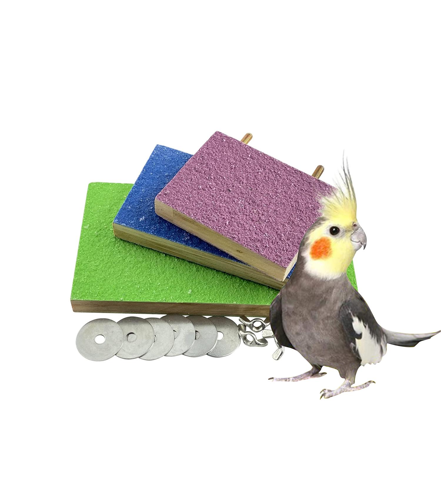 WANBAO Bird Perch Stand Grinding Paw Natural Wood Platform - Mixed Colors - Buy Online on GoSupps.com