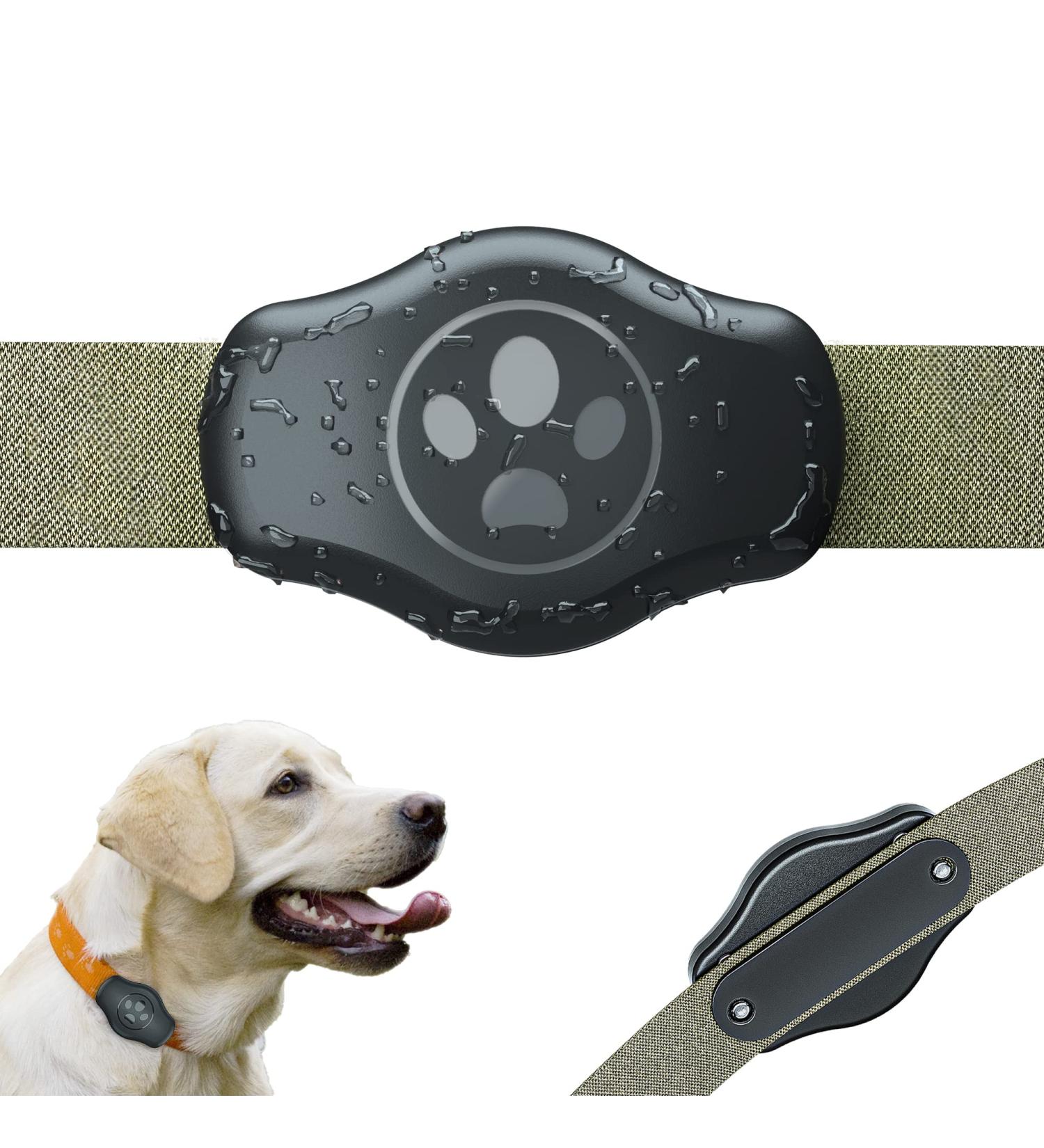 Honshoop Airtag Dog Collar Protective Cover - Waterproof Anti-Loss Case for Apple Airtags - Cat & Dog Accessories - Buy Online on GoSupps.com