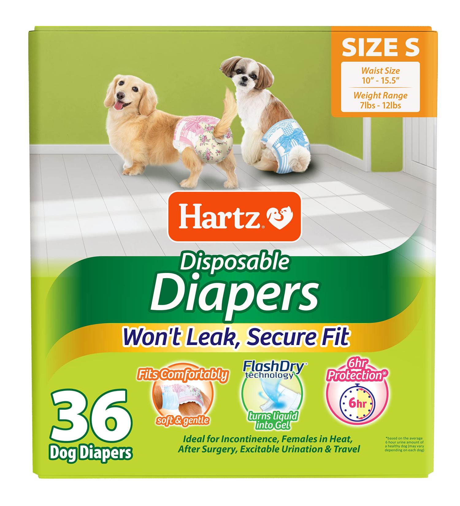 Female dachshund diapers best sale