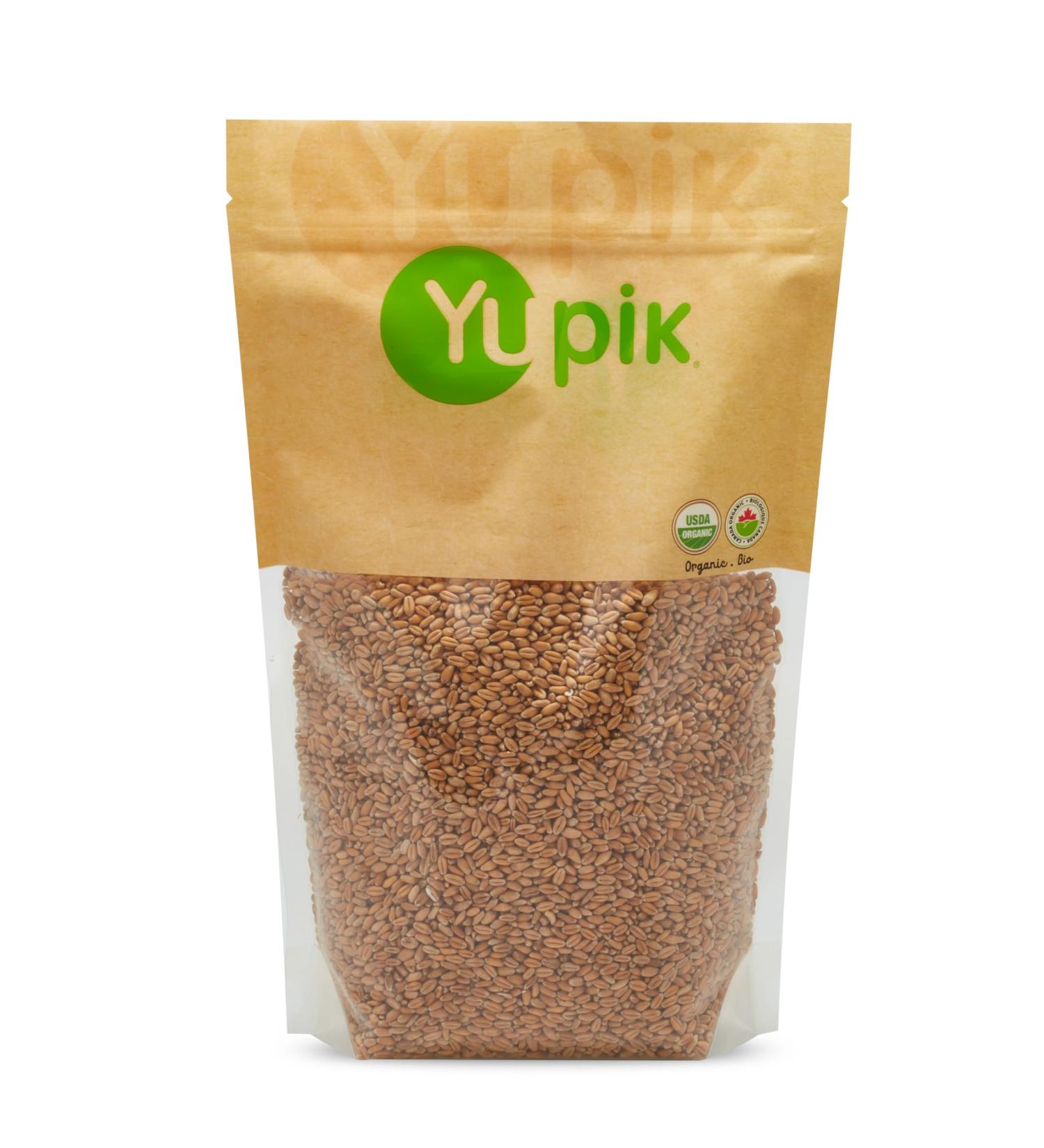 Yupik Organic Wheat 1 kg Non-GMO Vegan Kosher Raw Whole Grains Salt-Free Oil-Free Source of Fiber Sprouts Easily Ideal for Baking & Cooking 1 kg (Pack of 1) - Buy Online on GoSupps.com