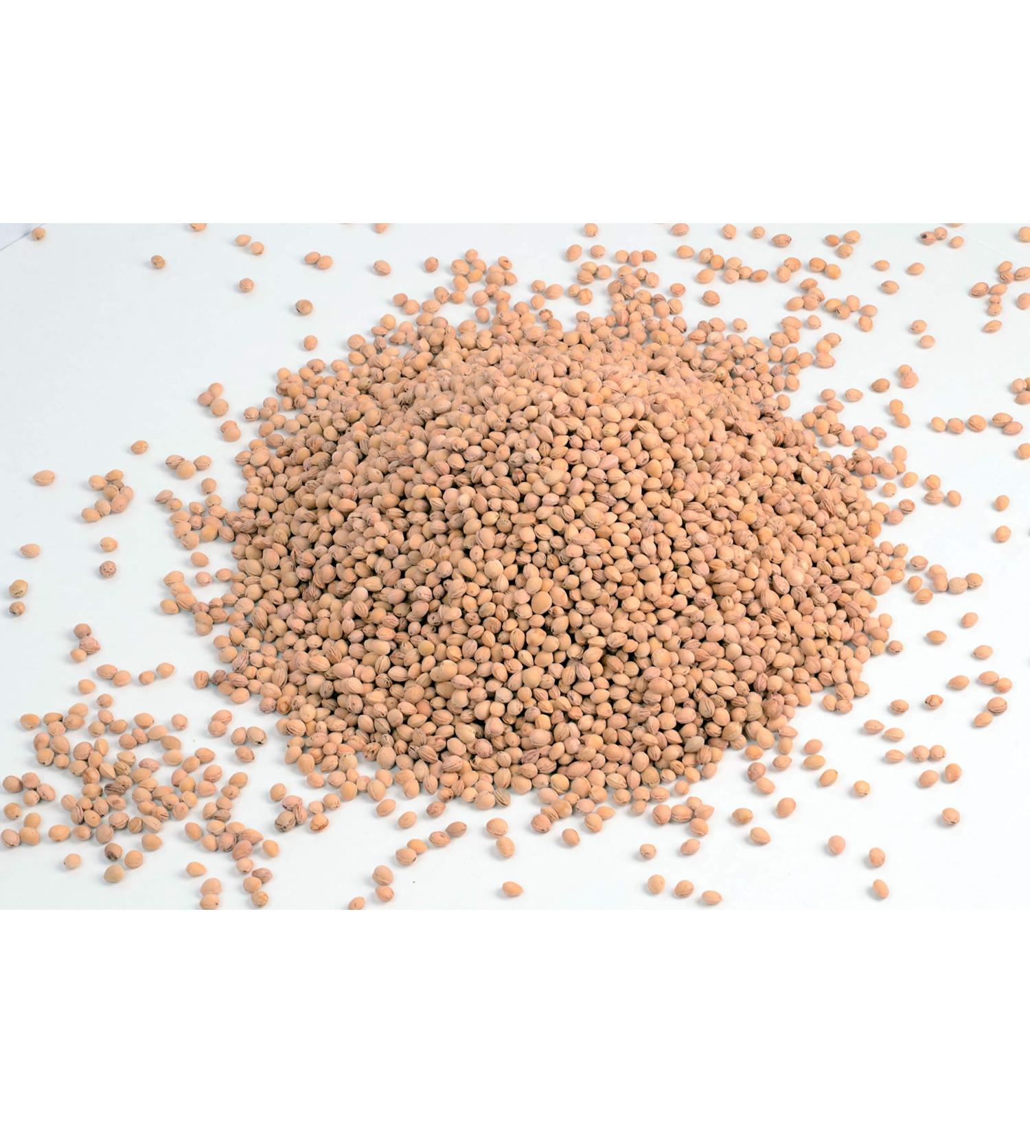 Loose cherry stones cleaned - cherry stones for heat pads 2kg stones