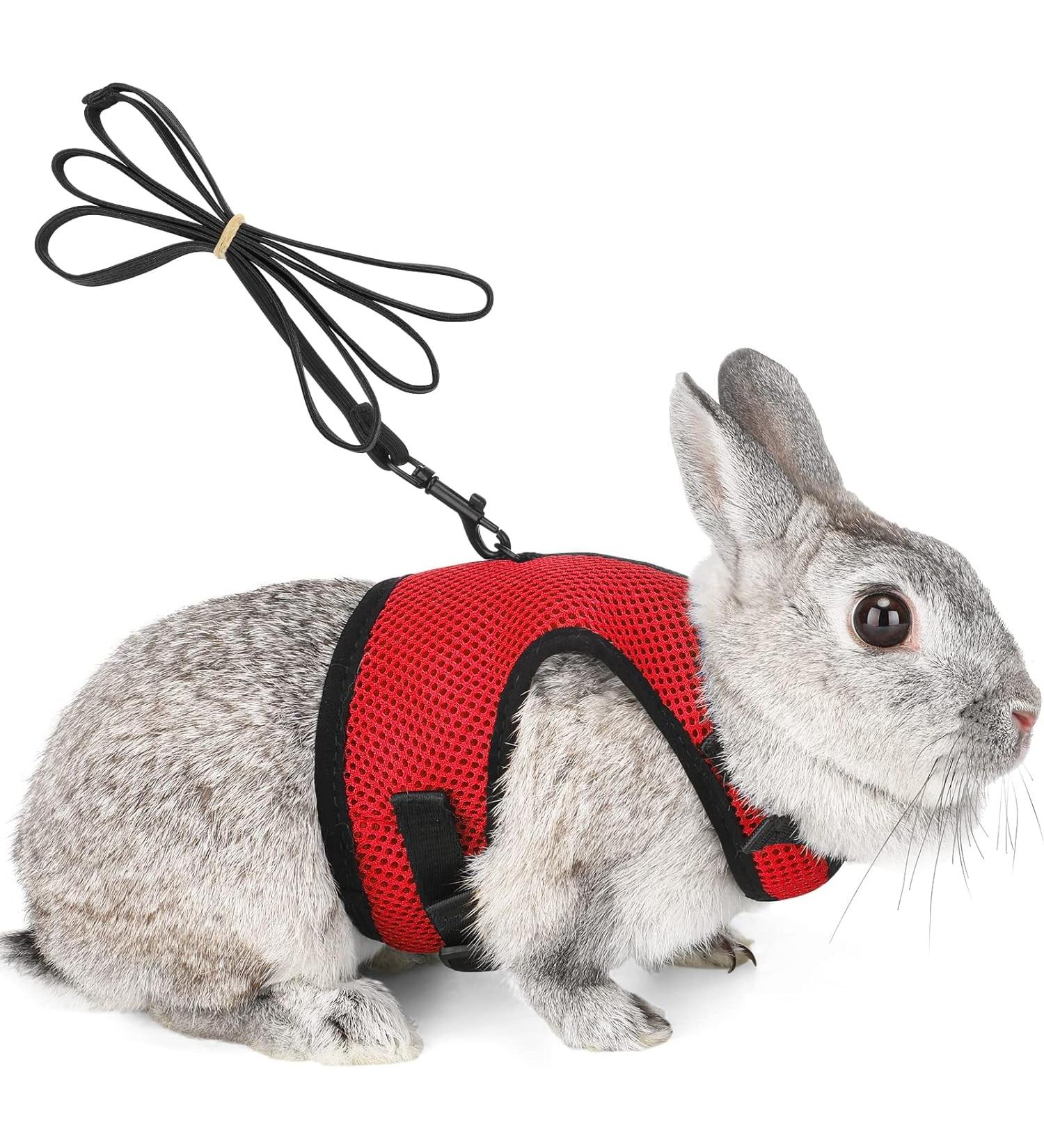 Adjustable Soft Rabbit Dishes with Elastic Leash for Small Pets - Perfect for Kittens and Bunnies (Size S Chest 27.5-33cm Red) - International Shipping Available - Buy Online on GoSupps.com