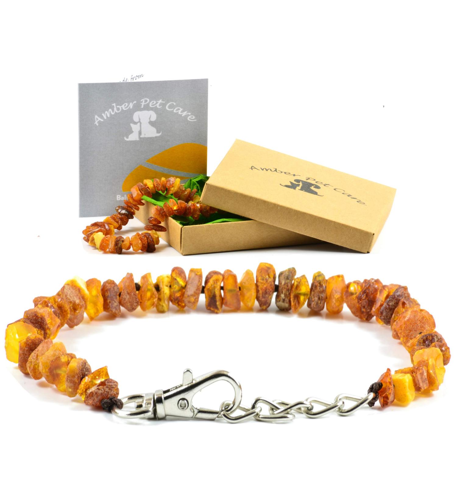 AmberPetCare - Premium Amber Necklace & Collar for Dogs & Cats | Natural Tick Repellent (35-40) - Buy Online on GoSupps.com