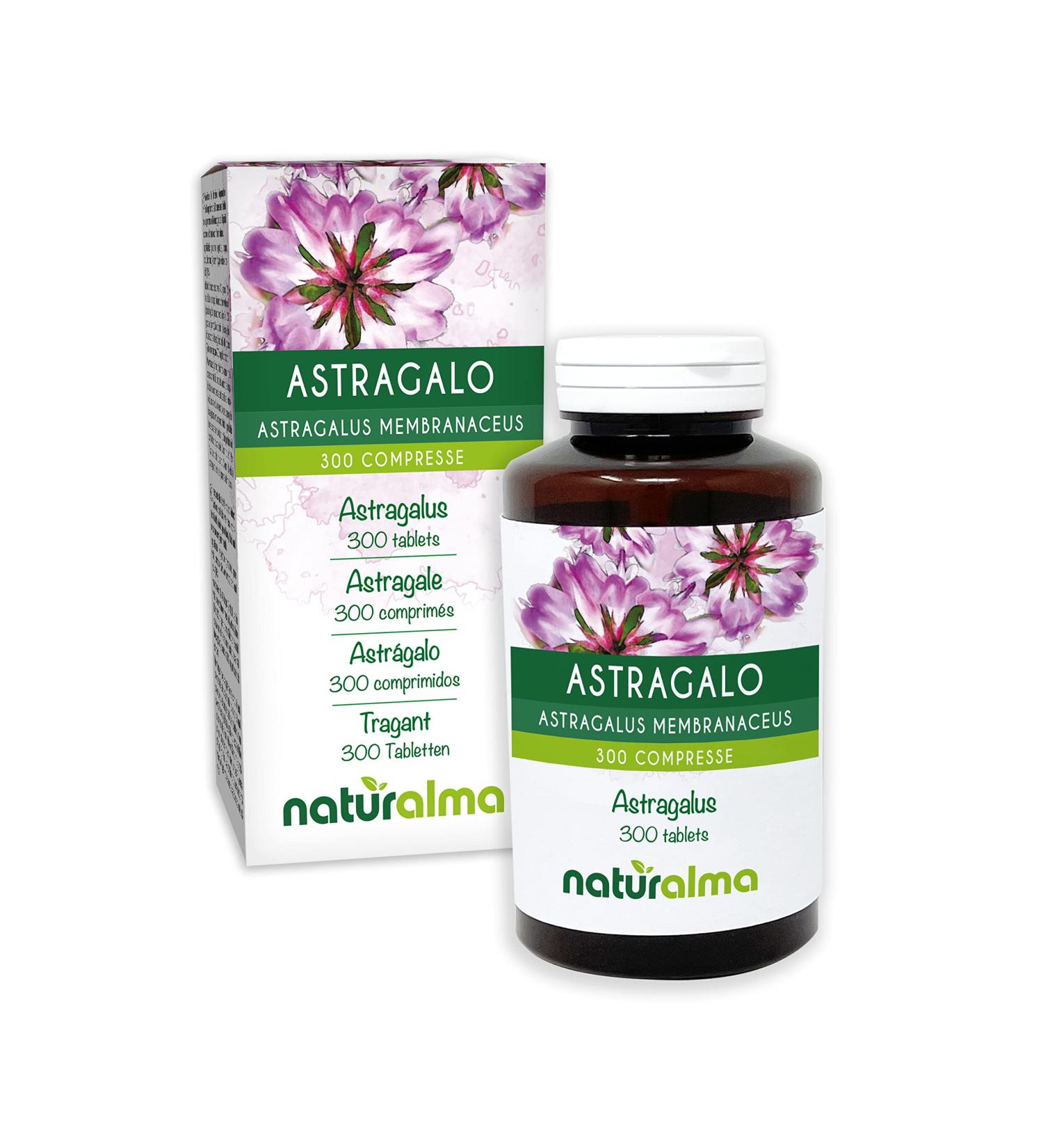 Astragalus Roots Natural Supplement - 150g, 300 Tablets | Vegan & Natural | NATURALMA - Buy Online on GoSupps.com
