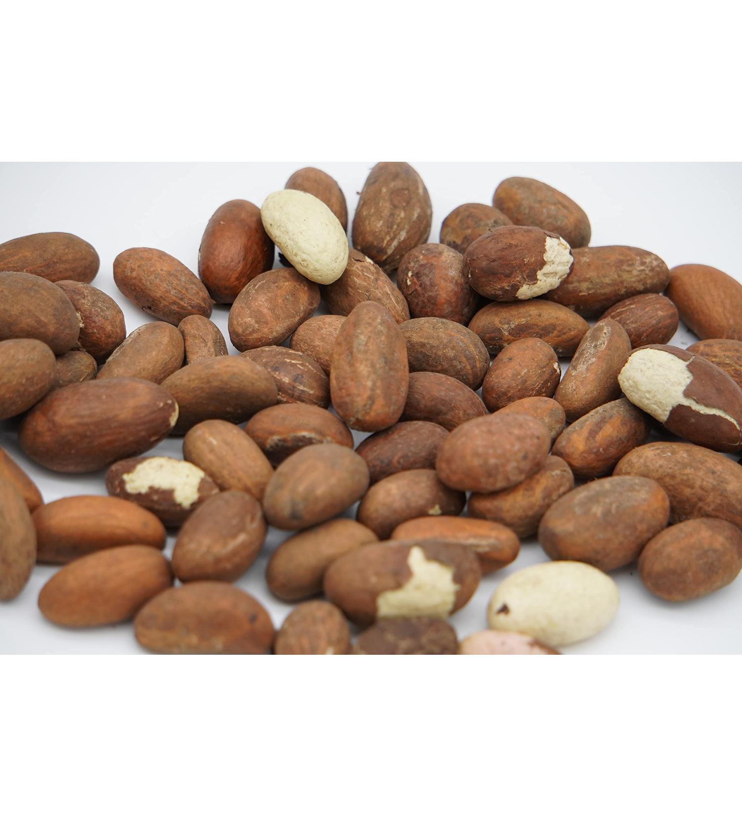 KOLA NUTRITION FRESH BITTER KOLA 1lb - Buy Online on GoSupps.com