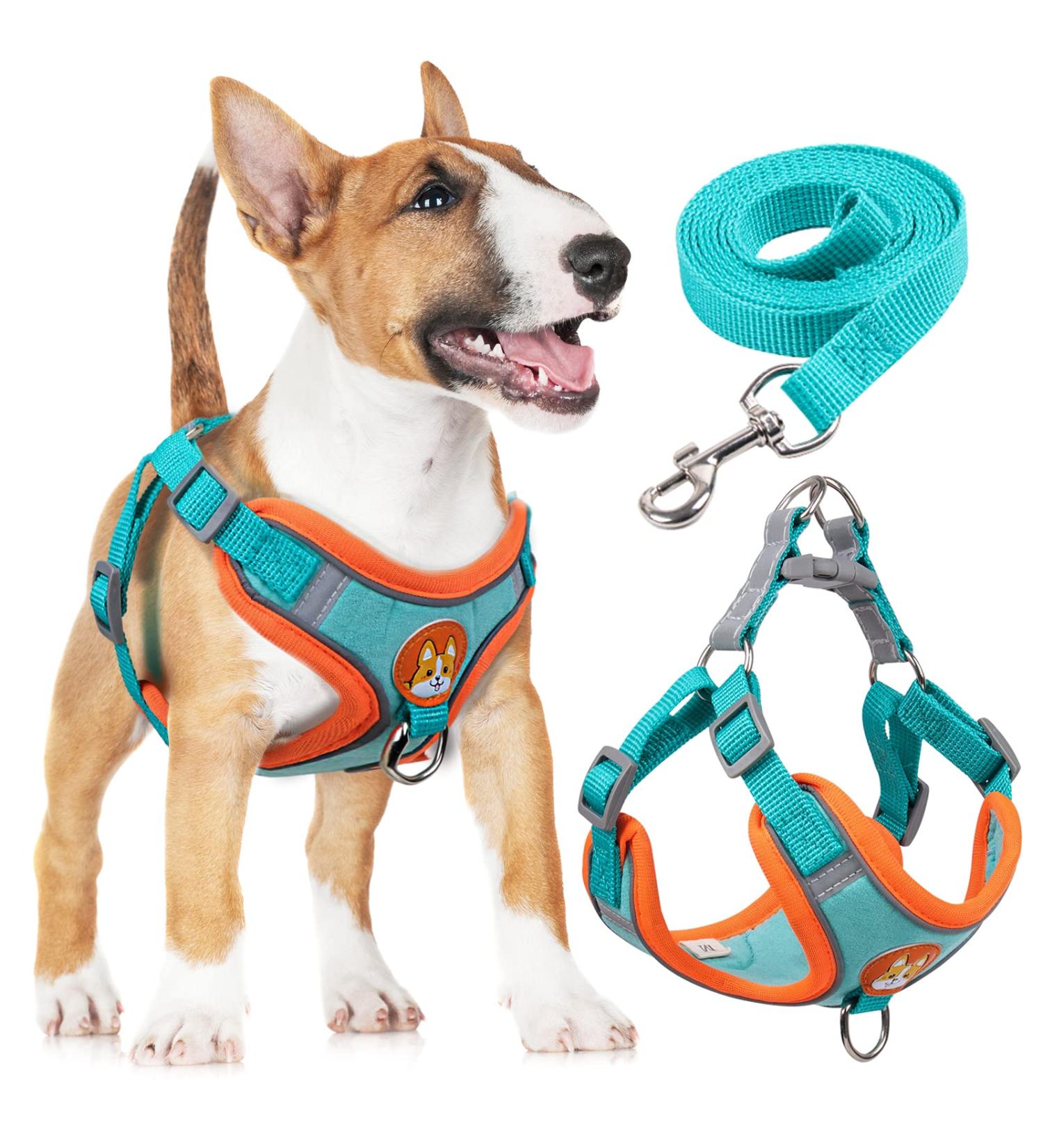 Rennaio No Pull Dog Harness & Leash Set | Adjustable Puppy Harness for Small & Medium Dogs - Ultra Comfortable with 2 Linen Clips (Seeblau XL) - Buy Online on GoSupps.com