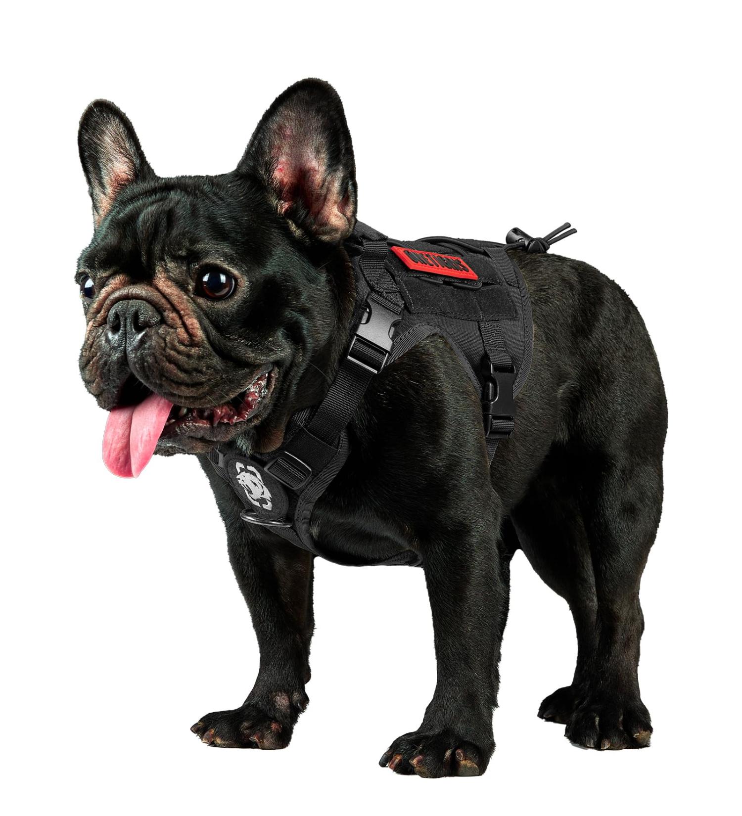 Oneigris Dog Harness - Fire Watcher Tactical | 1000D Nylon No-Pull D-Ring Adjustable XXS Black - Buy Online on GoSupps.com
