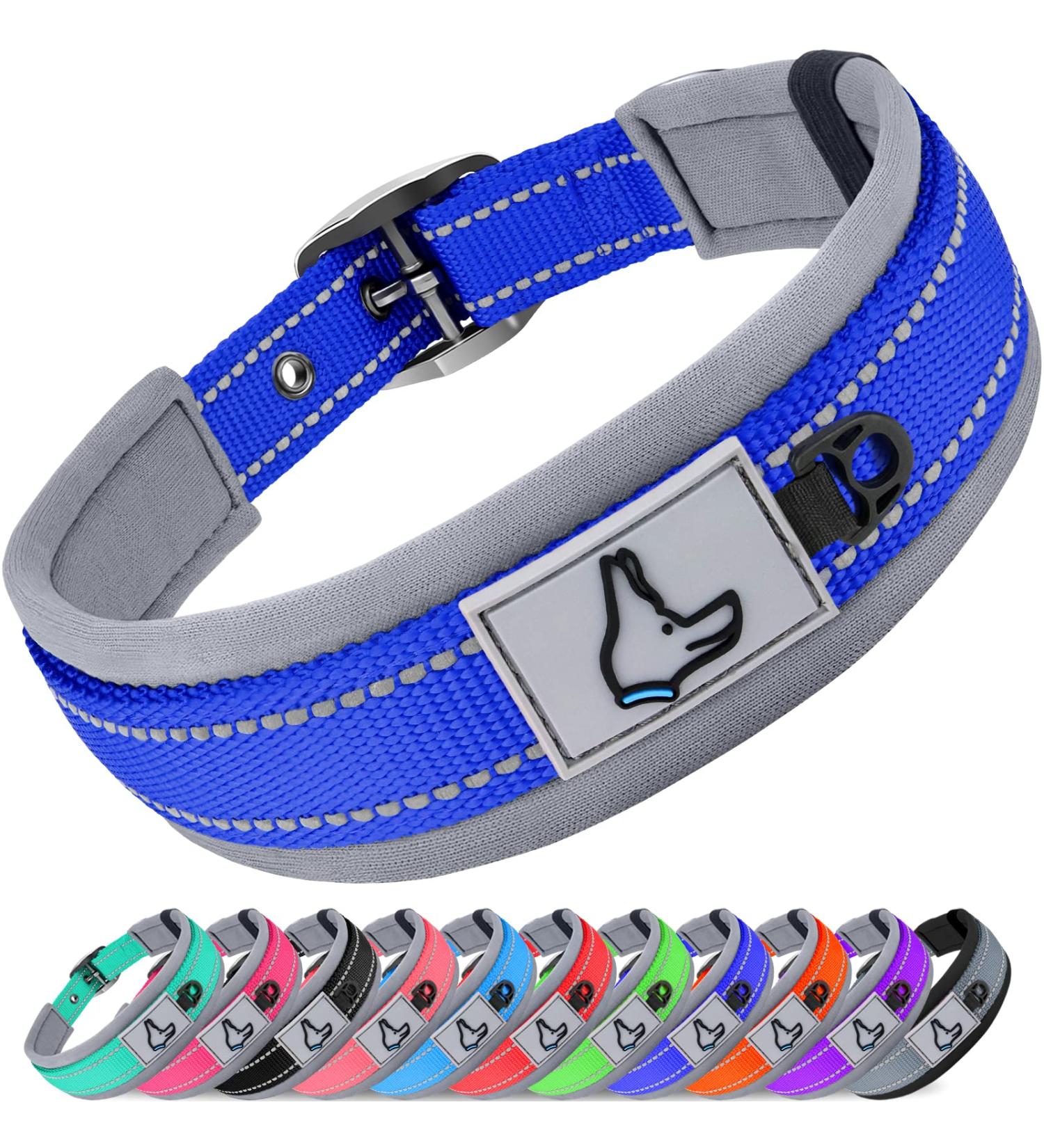 Buy Joytale Royal Blue Dog Collar - Softly Padded Neoprene for Medium Dogs | Nylon Reflective Wide Design - 1 Pack - Buy Online on GoSupps.com