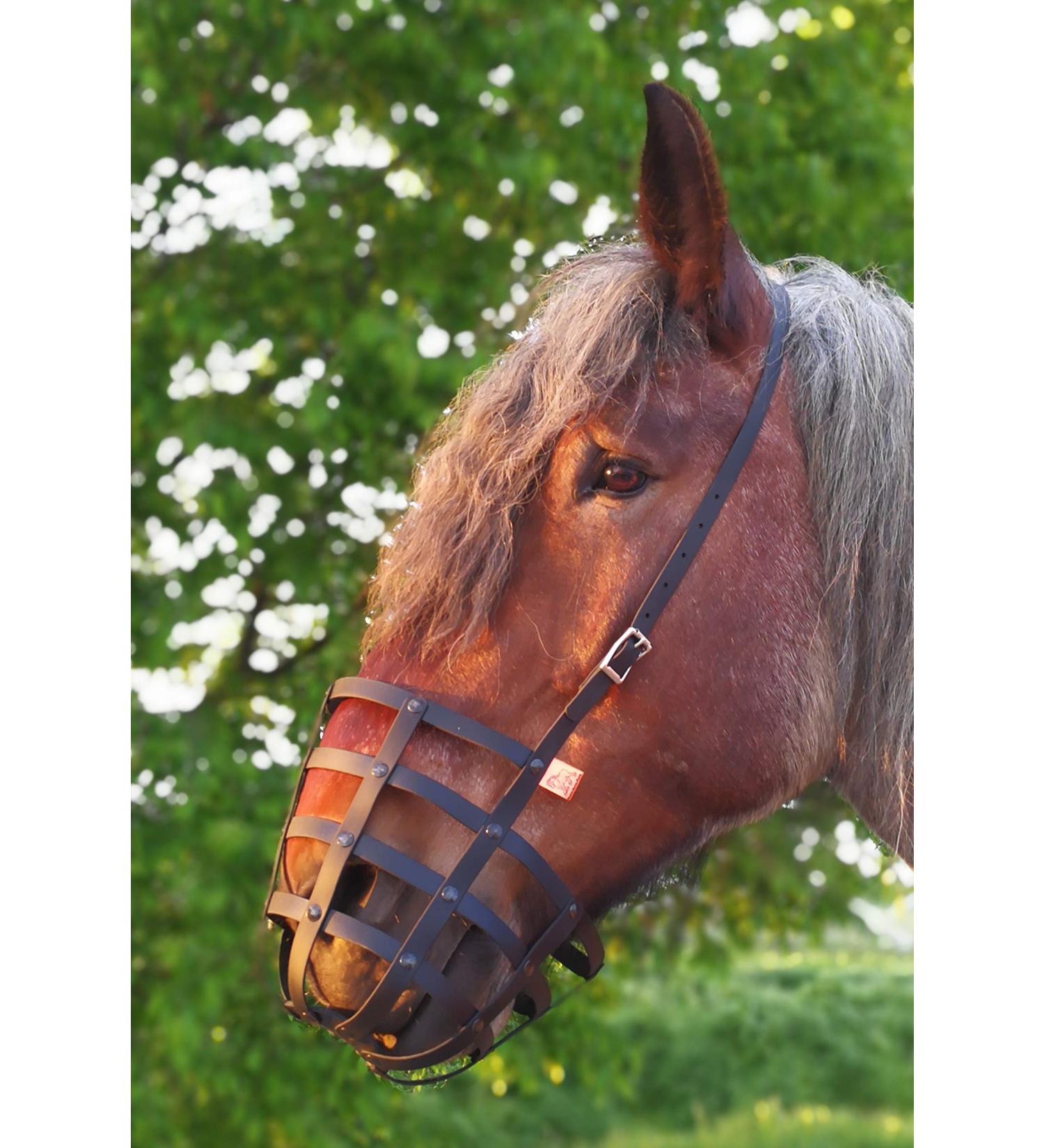 Heavy Horse Parts Feeding Muzzle | Strong Standard Size with Throat Strap & Reinforced Base Plate - International Shipping Available - Buy Online on GoSupps.com