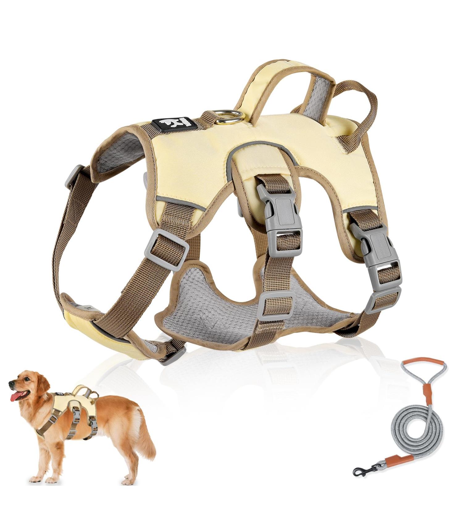 Multi-Purpose Dog Harness & Leash Set | Outbreak-Proof Anti-Train Harness for Small & Medium Dogs - Beige - Buy Online on GoSupps.com