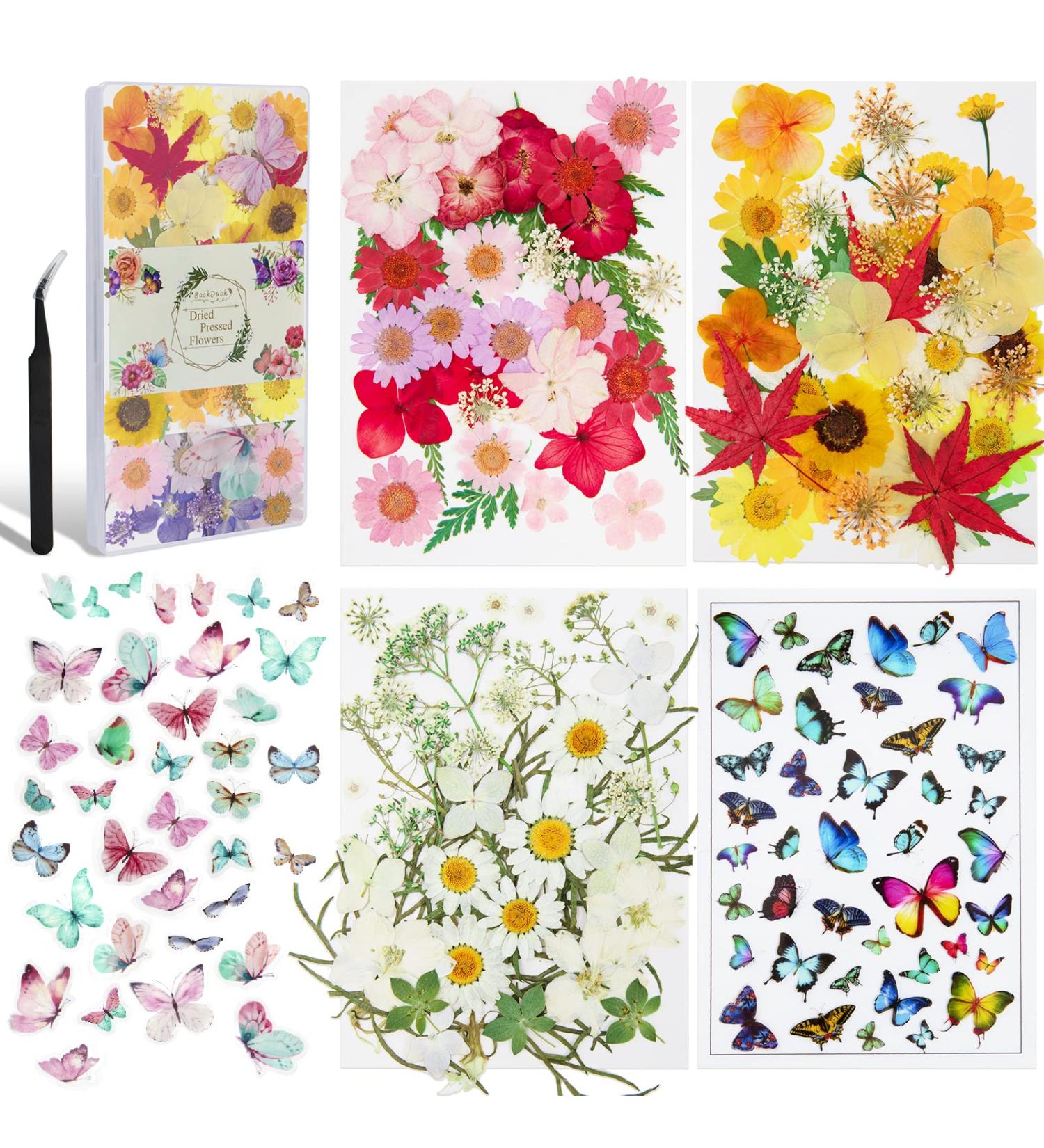 Dried Pressed Flowers for Resin & DIY Crafts - 185 Pcs Natural Dry Flowers with Plastic Case & Butterflies Yellow - Buy Online on GoSupps.com