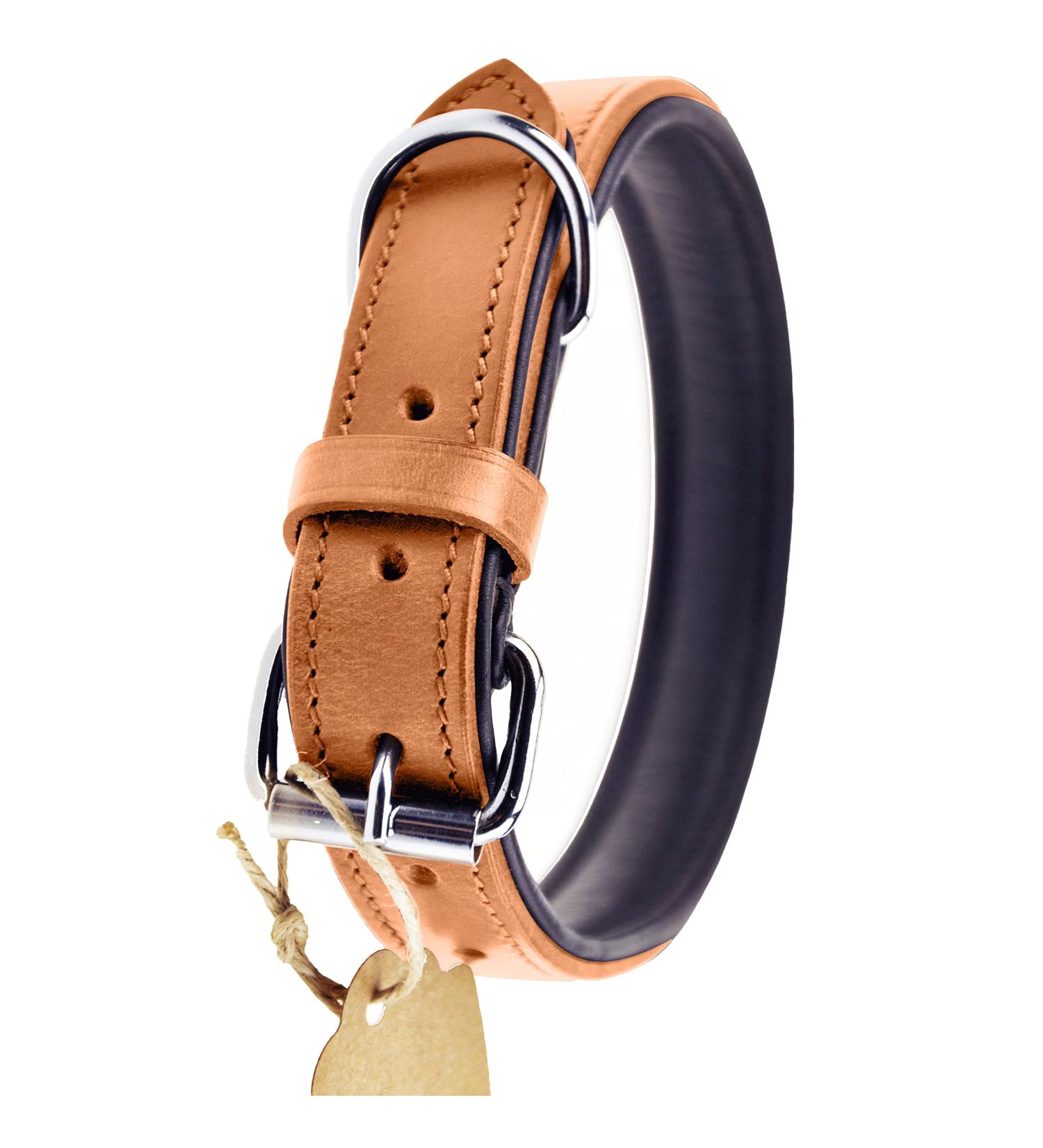 Luxury Leather Sniffing Fans Dog Collar - Padded & Robust for All Sizes (L: 36-45cm Beige) | International Shipping - Buy Online on GoSupps.com