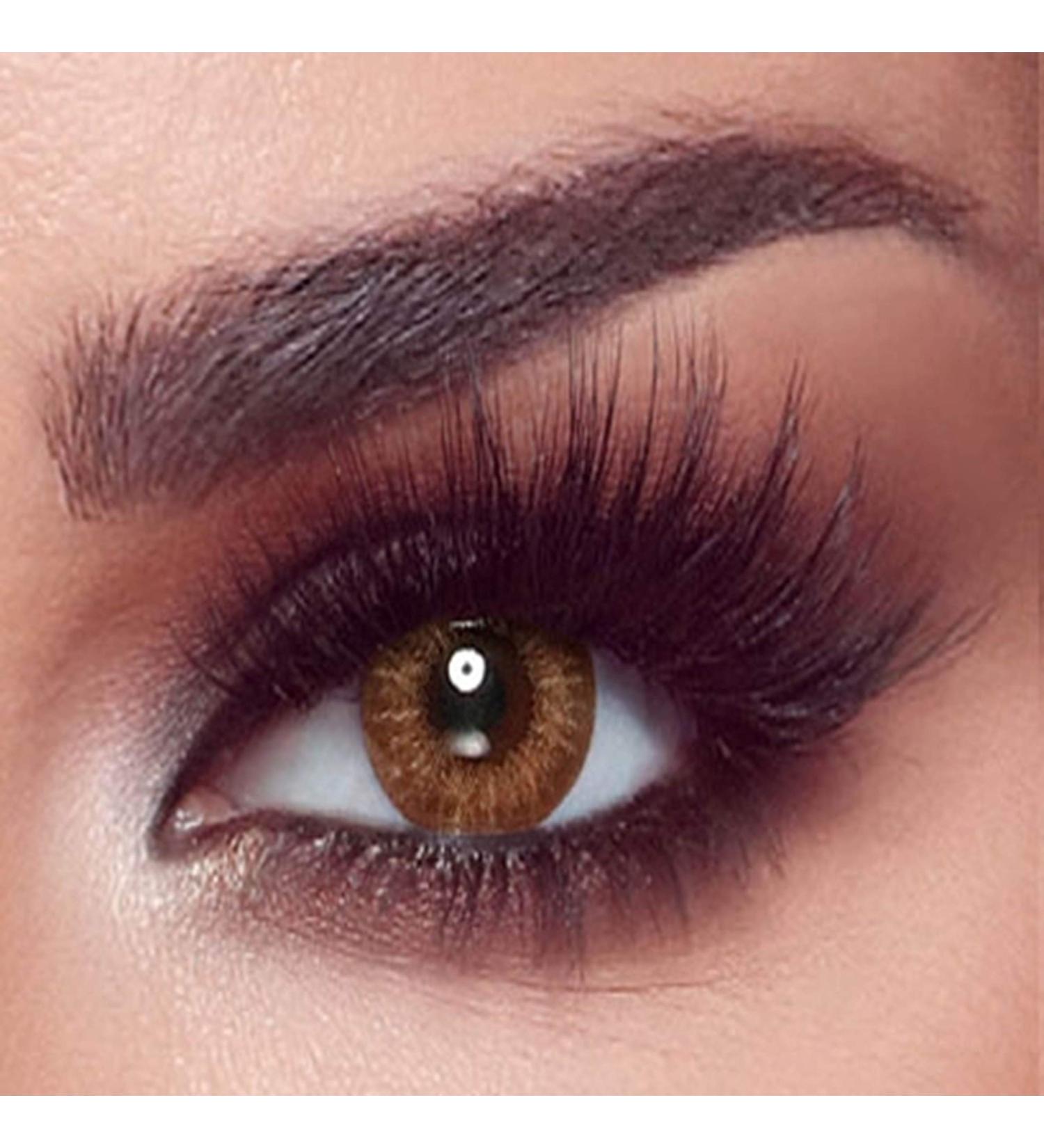 Bella 1-Day Almond Brown Colored Contact Lenses - Natural Brown Daily Lenses for Dark Eyes -0.00 Diopters 10x Pack - Buy Online on GoSupps.com